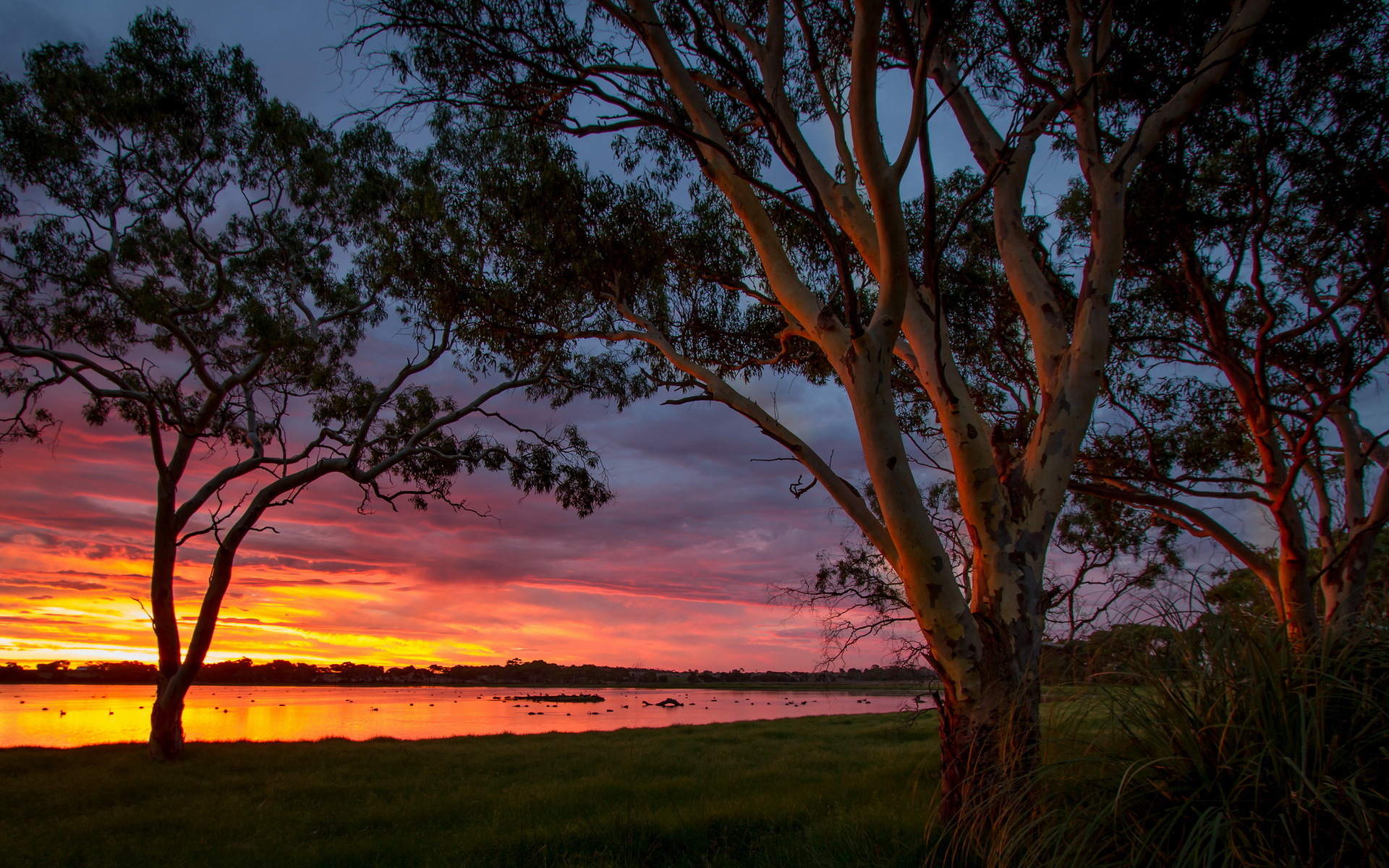 Free download wallpaper Sunset, Sky, Lake, Tree, Earth on your PC desktop