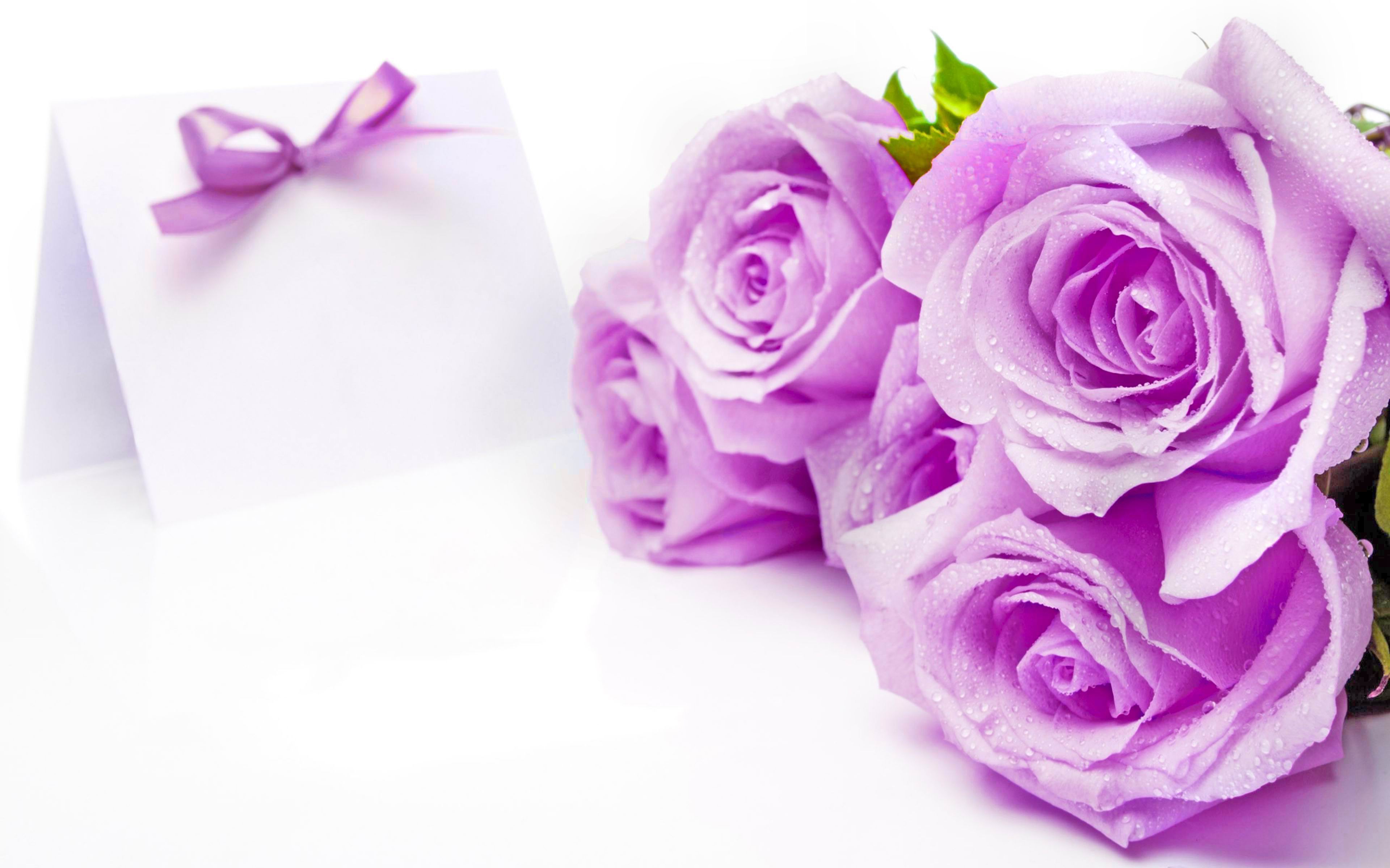 Téléchargez des papiers peints mobile Saint Valentin, Fleur, Vacances, Bouquet, Fleur Rose gratuitement.