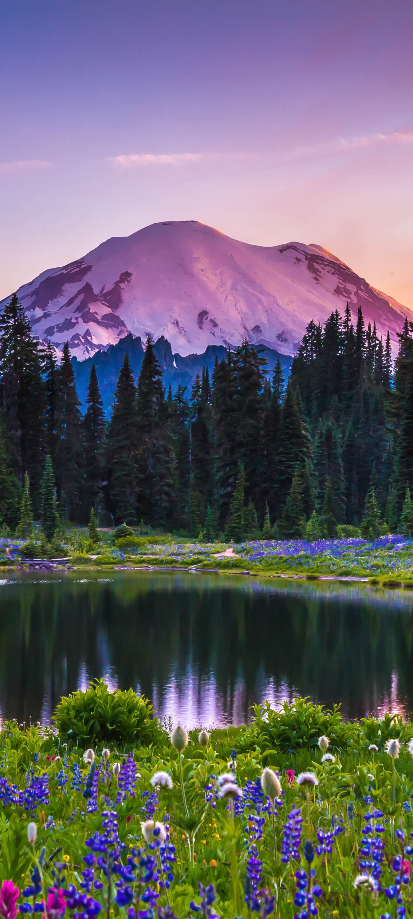 Handy-Wallpaper Landschaft, See, Nationalpark, Sonnenuntergang, Vereinigte Staaten Von Amerika, Berge, Mount Rainier, Erde/natur kostenlos herunterladen.