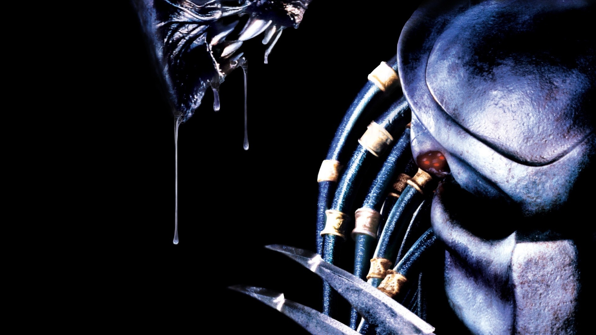 Free download wallpaper Video Game, Aliens Versus Predator: Extinction on your PC desktop