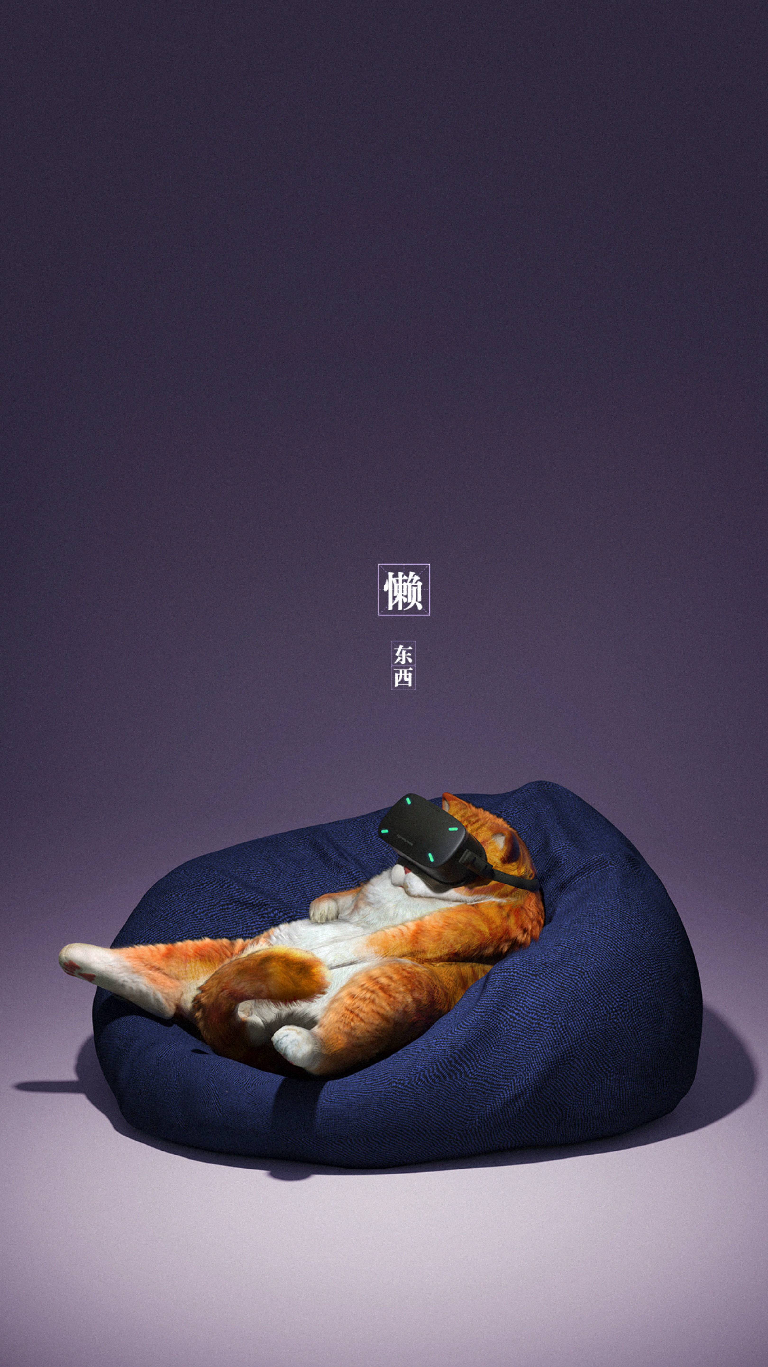 cool, funny, miscellanea, miscellaneous, cat, glasses, spectacles, virtual reality