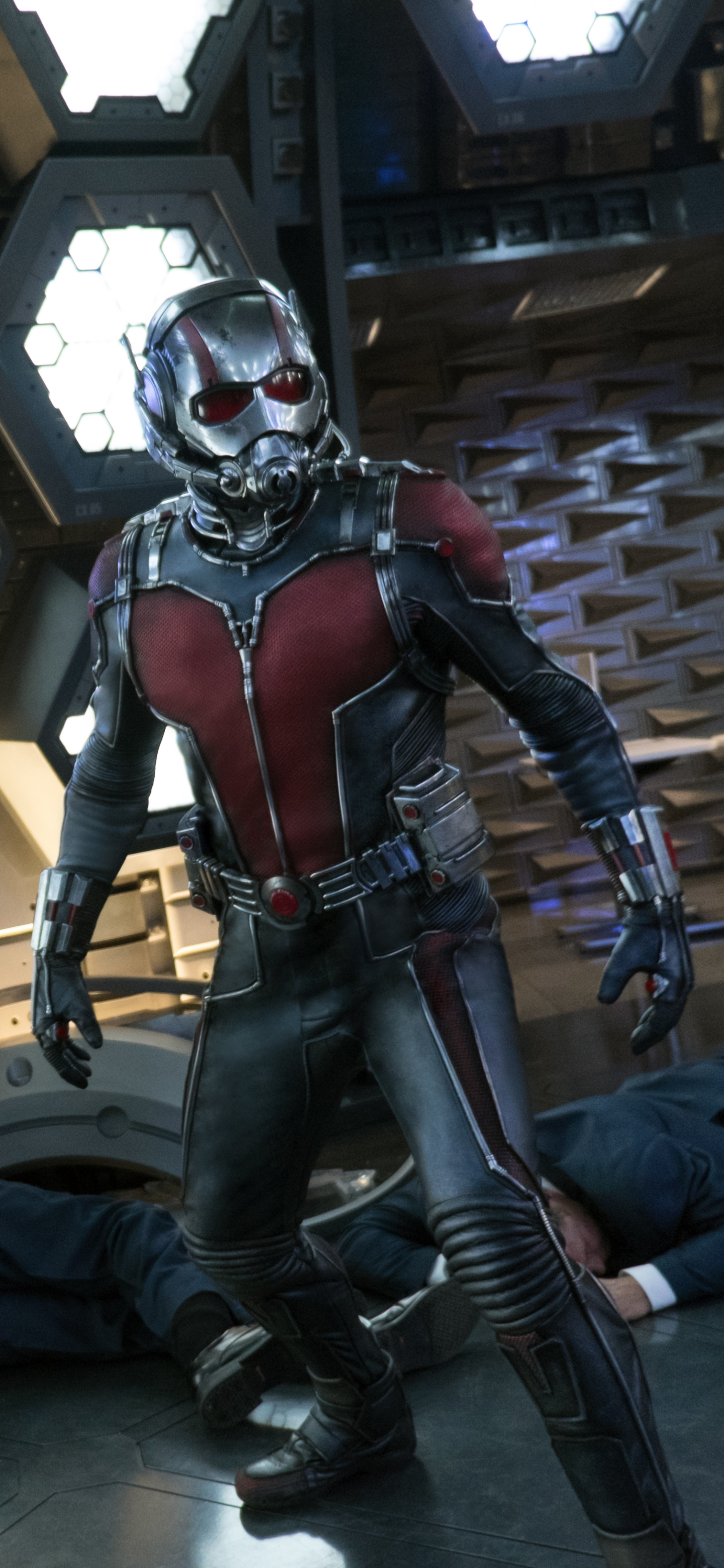 Download mobile wallpaper Movie, Ant Man for free.