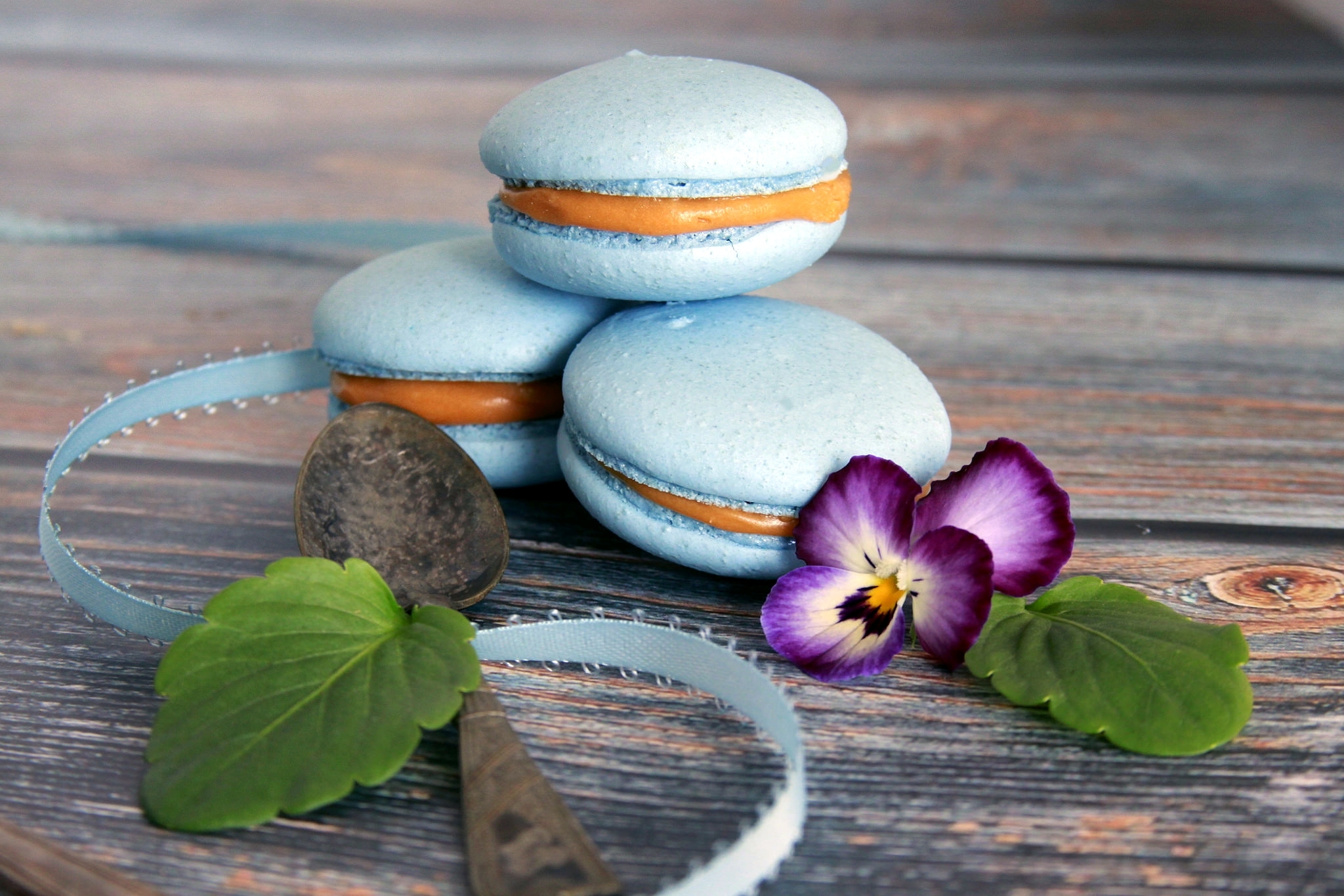 Download mobile wallpaper Food, Still Life, Sweets, Macaron for free.