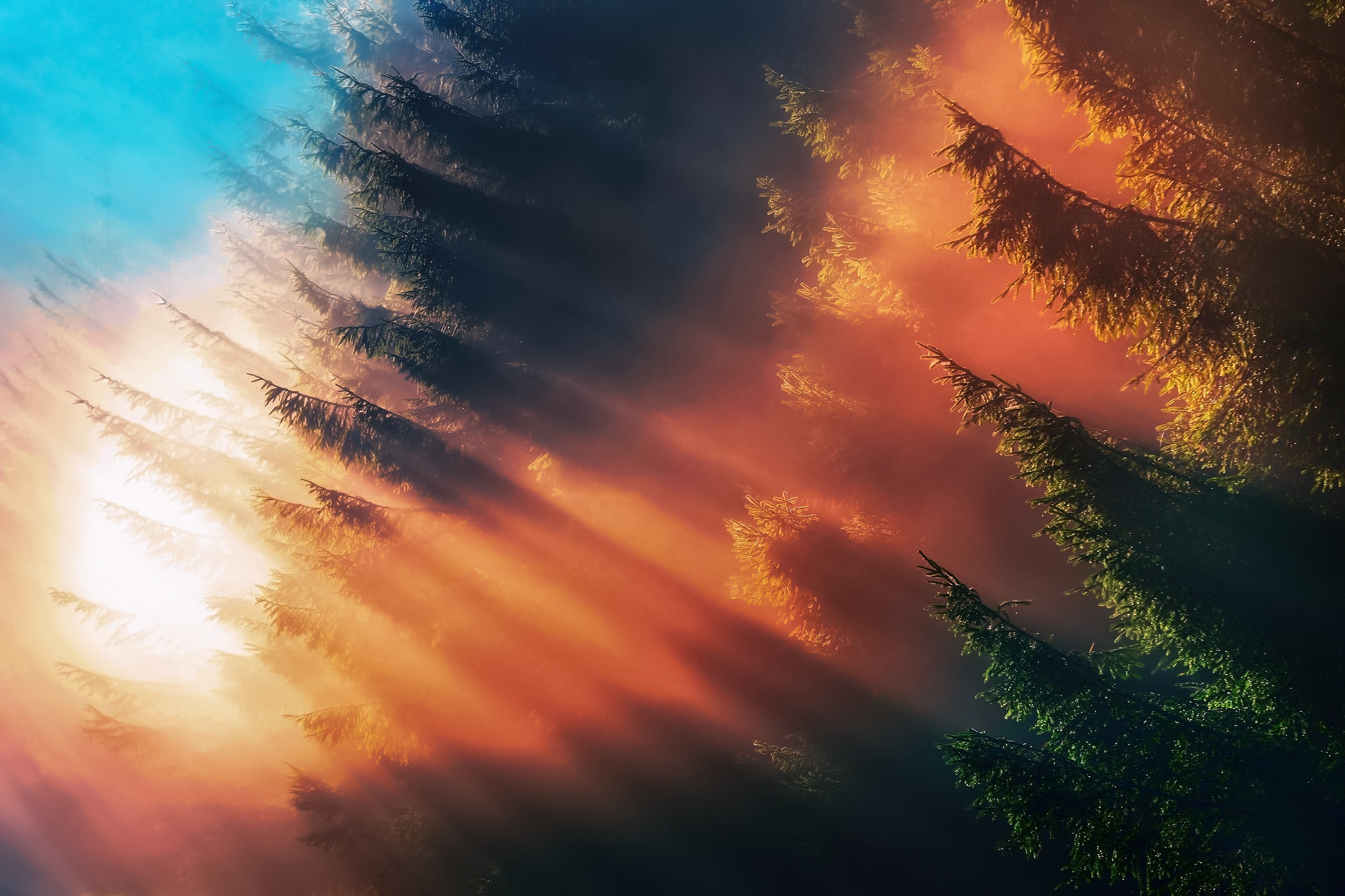 Free download wallpaper Nature, Fog, Earth, Sunbeam on your PC desktop