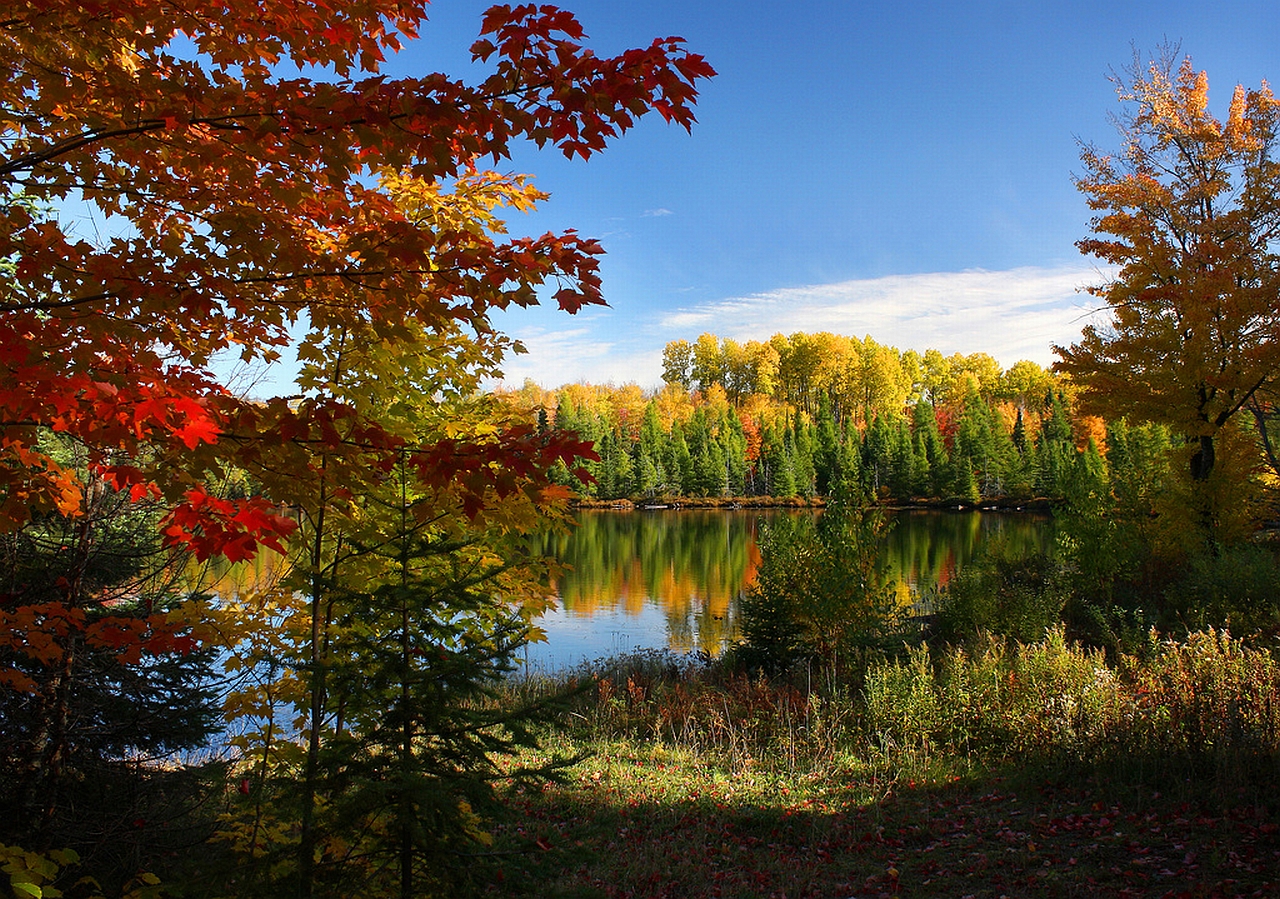 Descarga gratuita de fondo de pantalla para móvil de Lago, Tierra/naturaleza.