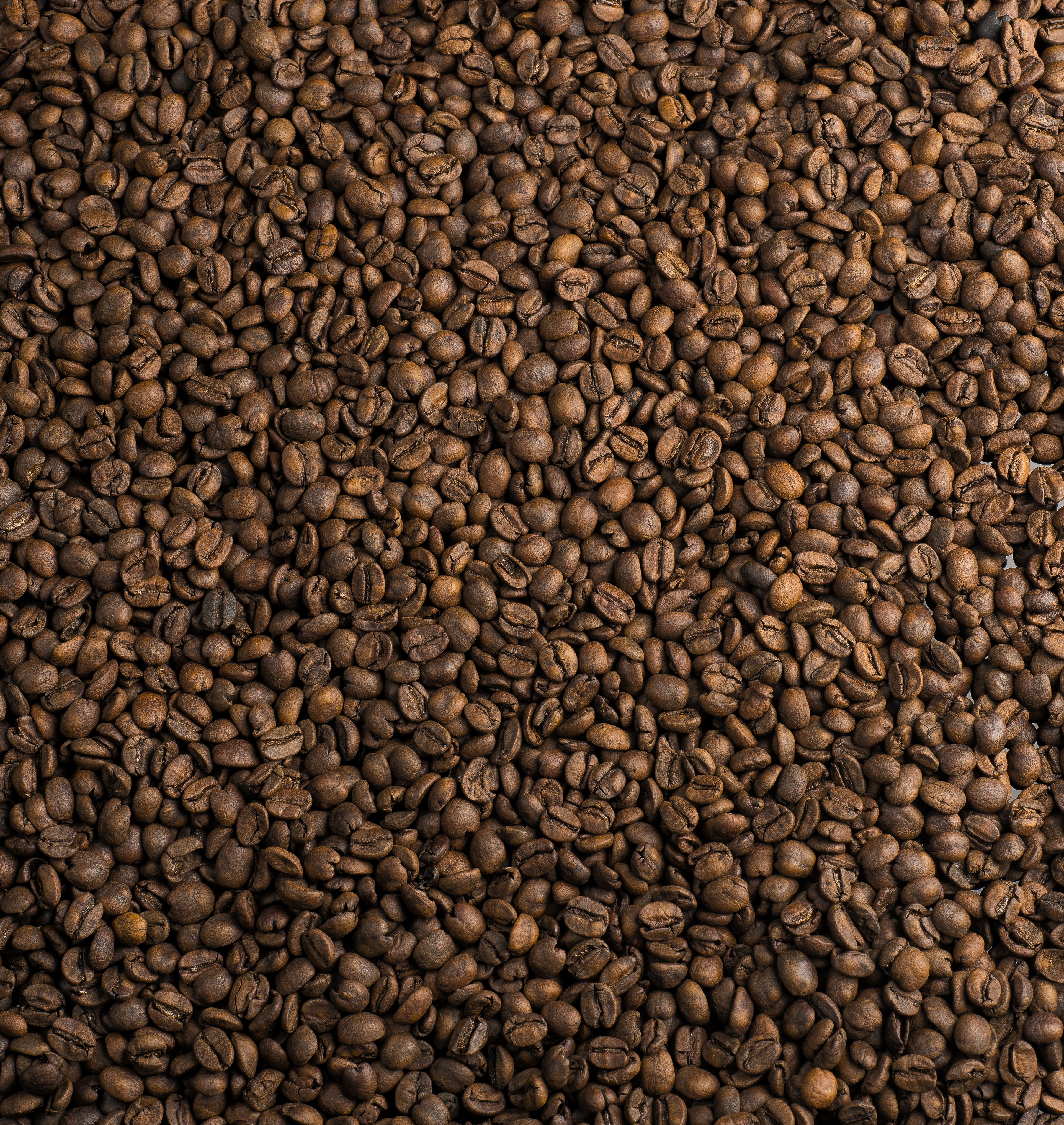 textures, café, coffee, texture, coffee beans, fried, roasted, coffee house