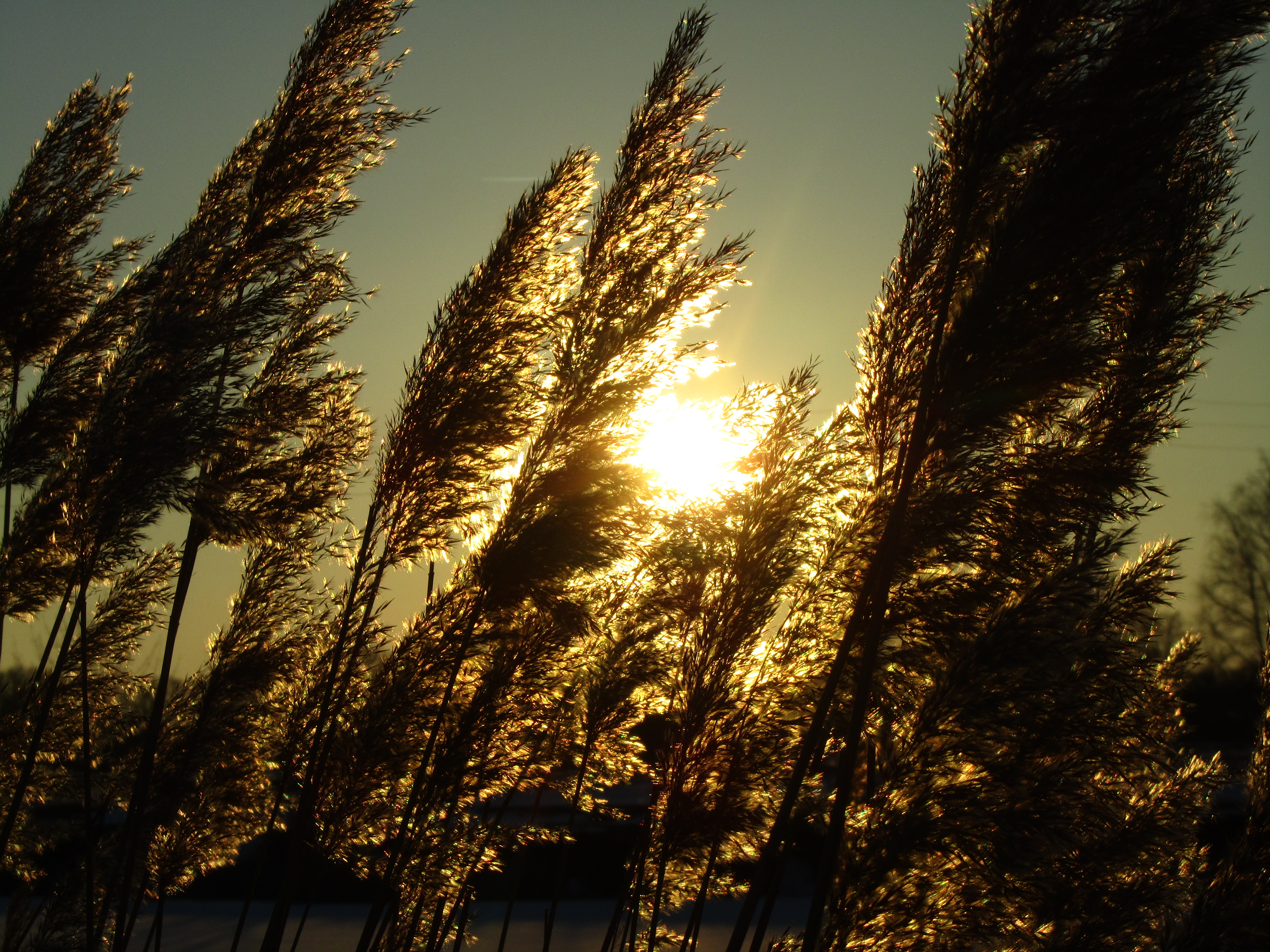 Baixar papel de parede para celular de Terra/natureza, Raio Solar gratuito.