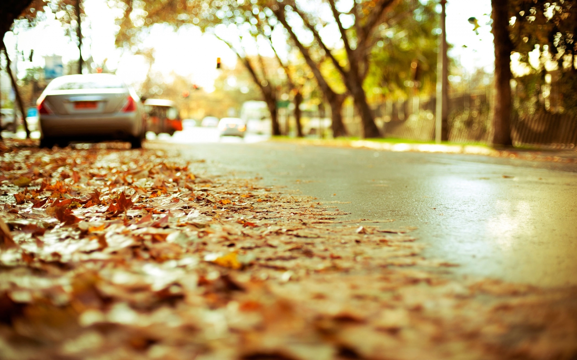無料モバイル壁紙道路, 葉, 秋, 風景をダウンロードします。