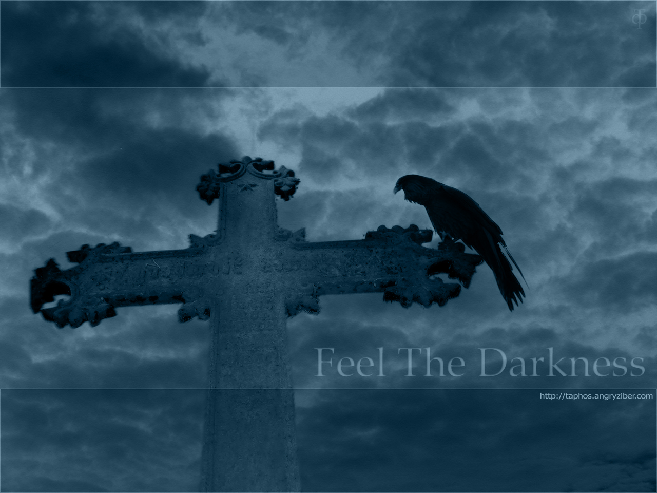Free download wallpaper Bird, Animal, Raven on your PC desktop