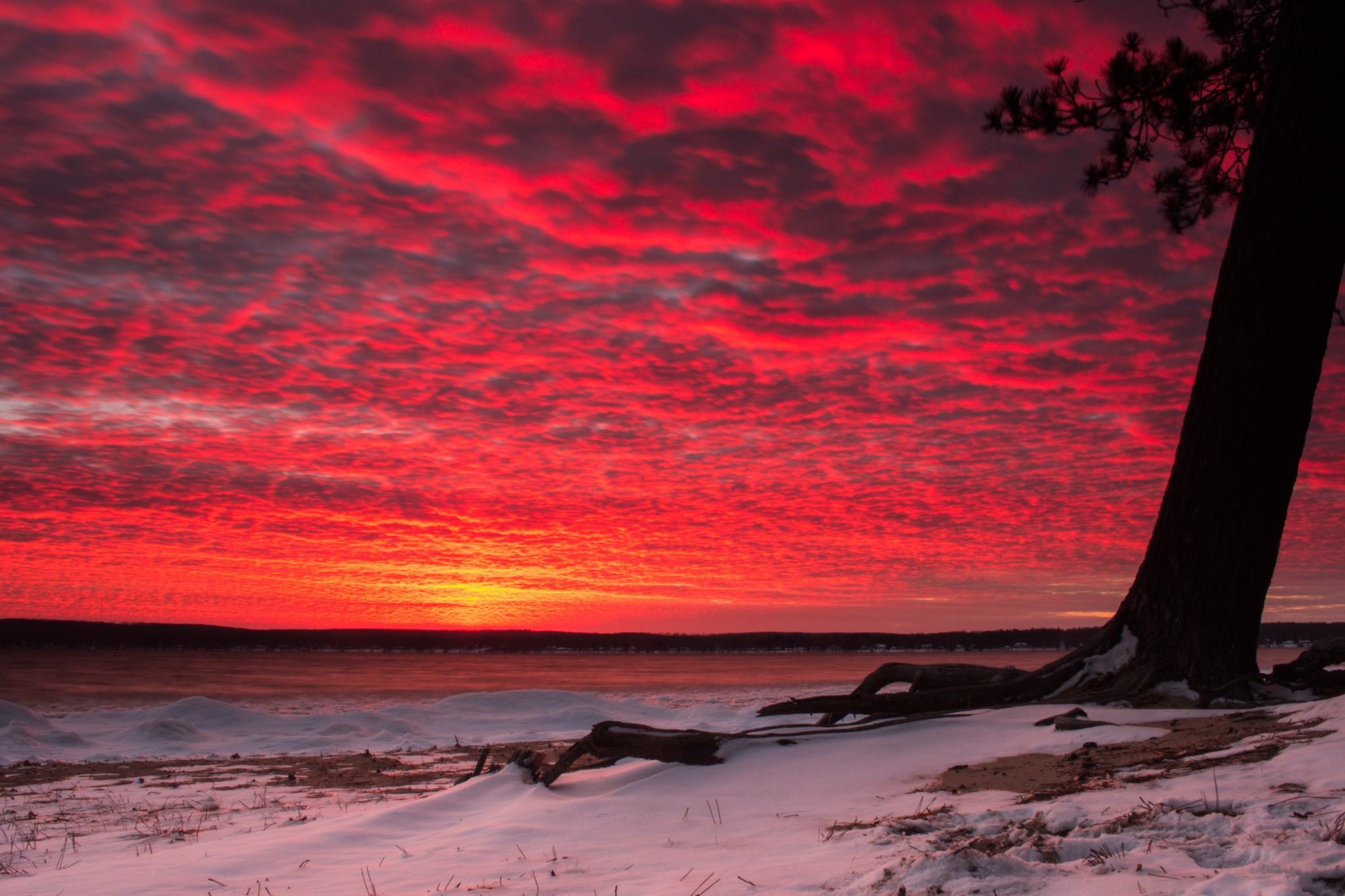 Laden Sie das Rosa, Baum, Wolke, Himmel, Sonnenuntergang, Erde/natur, Orange Farbe)-Bild kostenlos auf Ihren PC-Desktop herunter