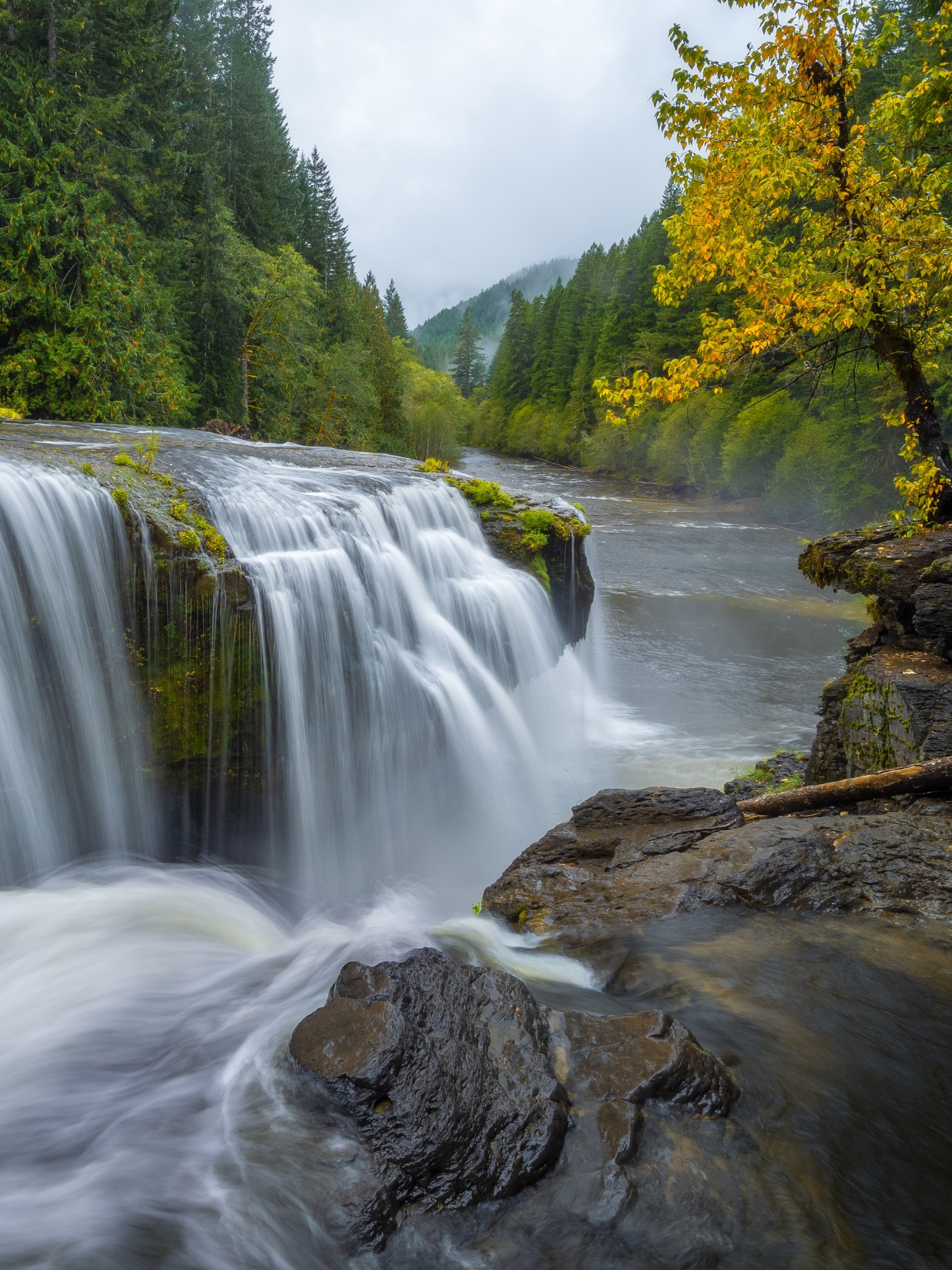 1181548 économiseurs d'écran et fonds d'écran Chutes Inférieures De La Rivière Lewis sur votre téléphone. Téléchargez  images gratuitement