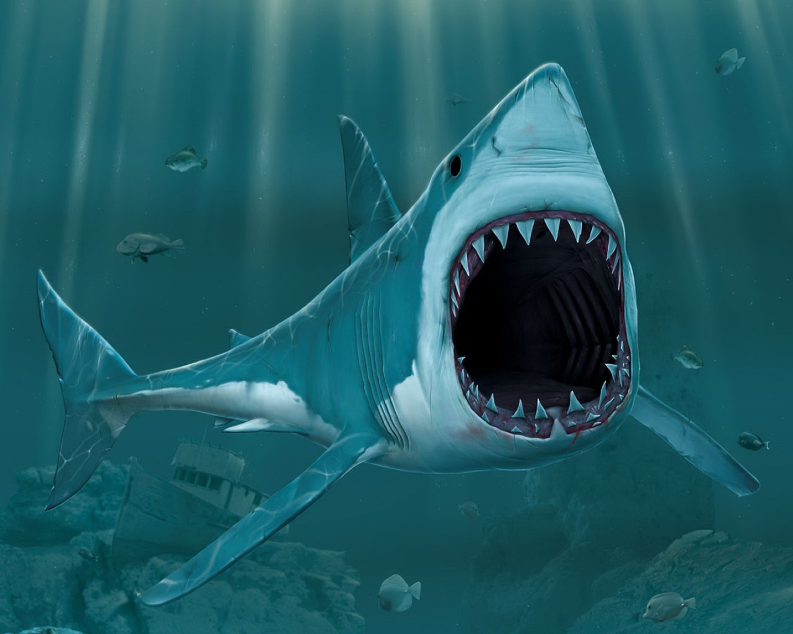 Baixar papel de parede para celular de Animais, 3D, Artístico, Peixe, Tubarão gratuito.