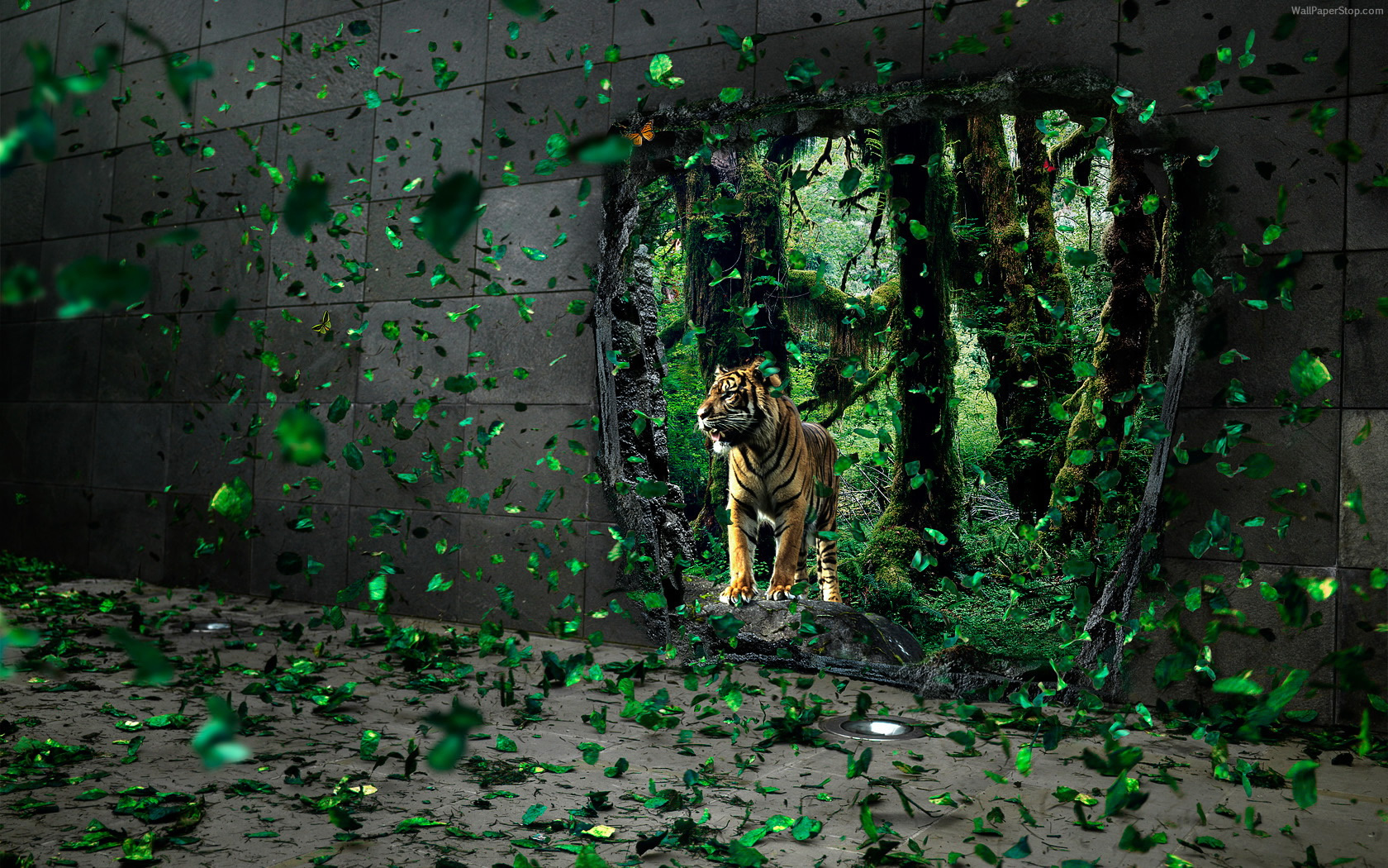 Descarga gratuita de fondo de pantalla para móvil de Animales, Gatos, Tigre.