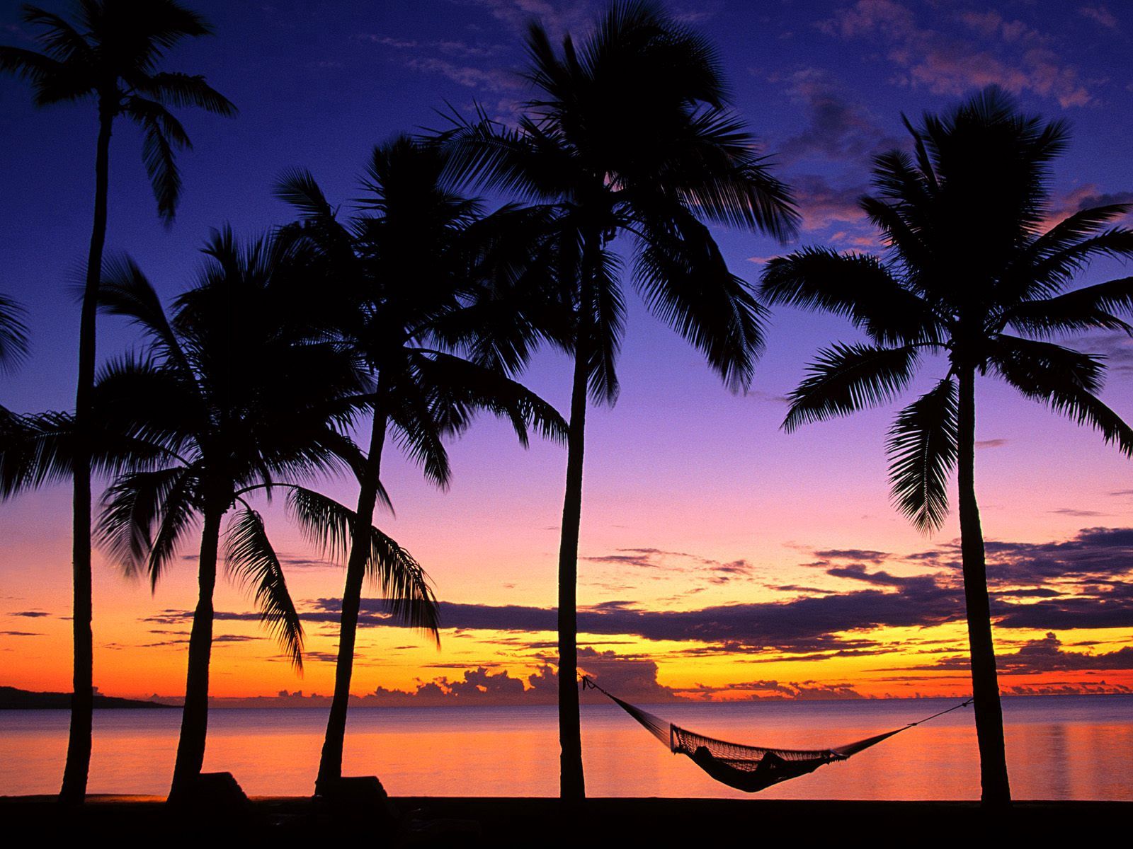 palms, fiji, nature, sunset, shore, bank, evening, hammock