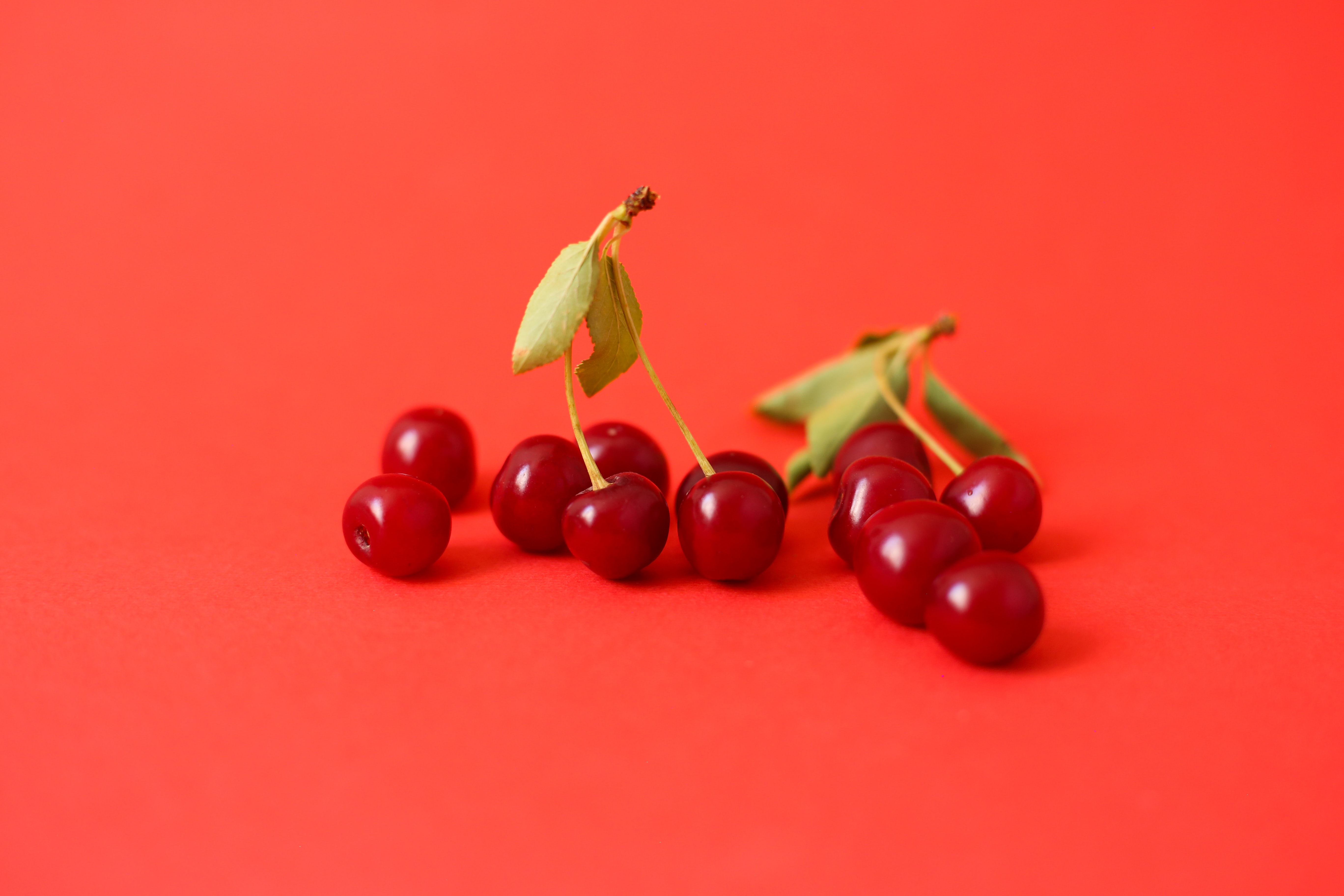 food, berry, cherry, red, branch Full HD