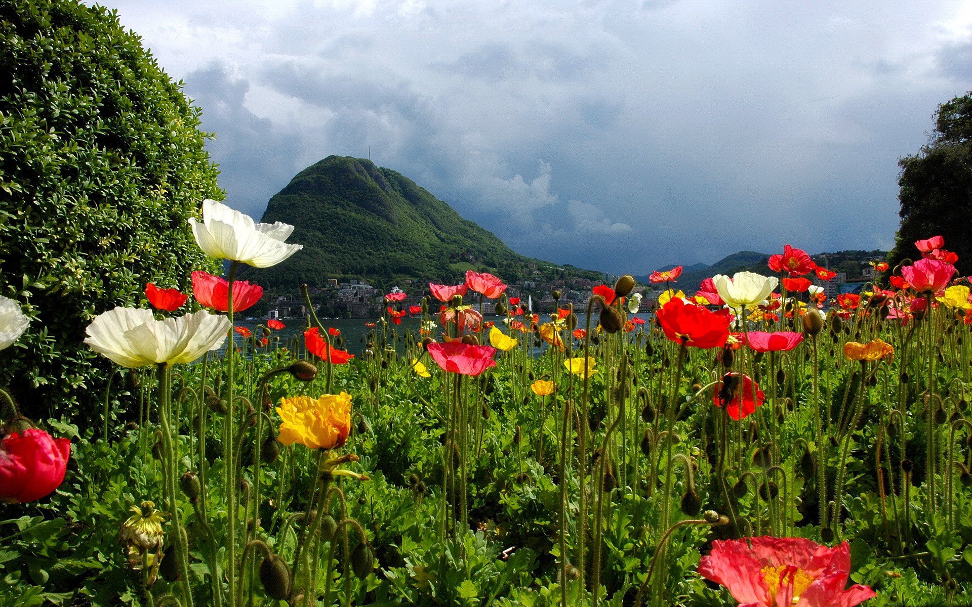 Free download wallpaper Landscape, Flowers, Mountain, Lake, Flower, Earth, Colorful, Spring, Poppy on your PC desktop