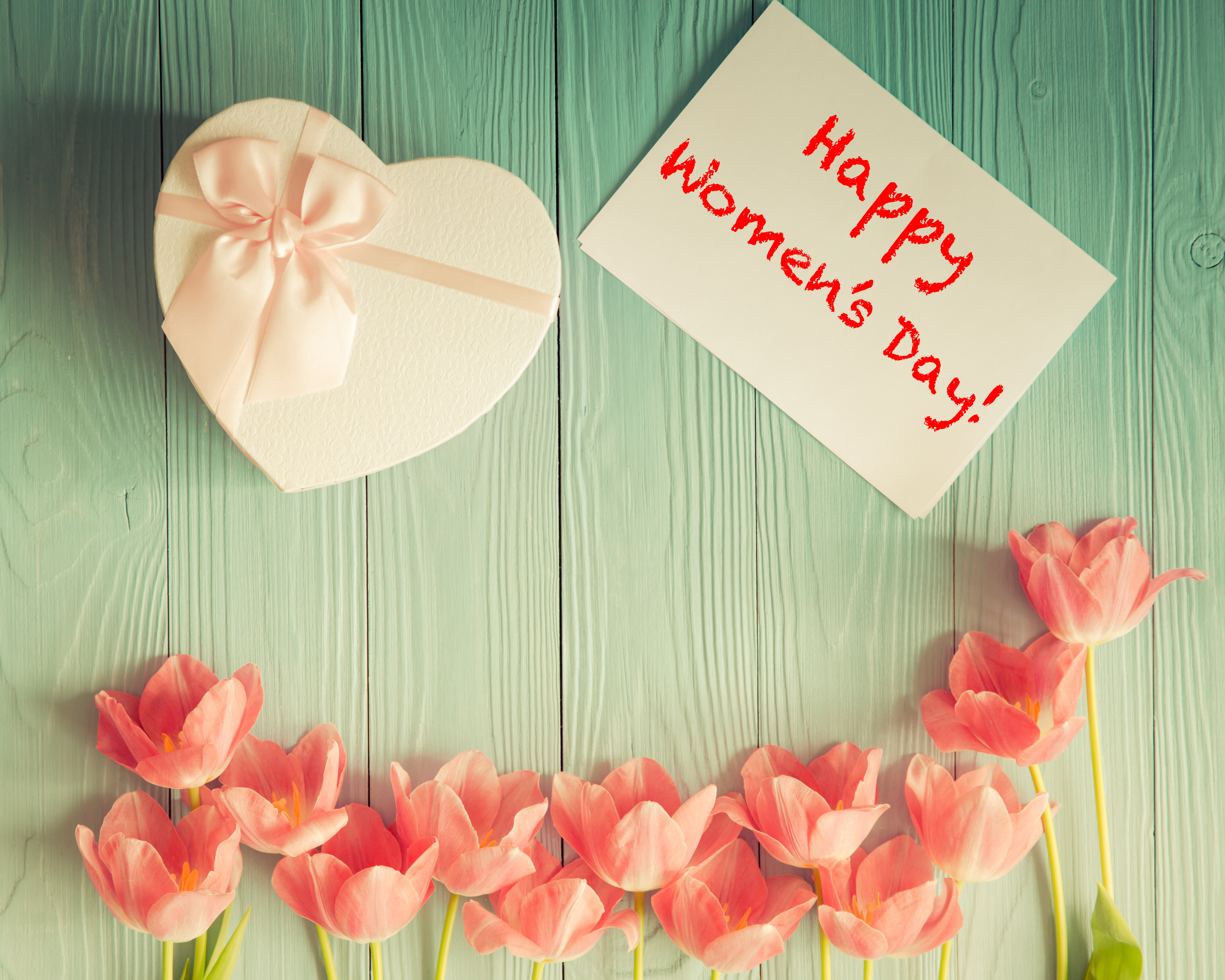 holiday, women's day, flower, gift, pink flower