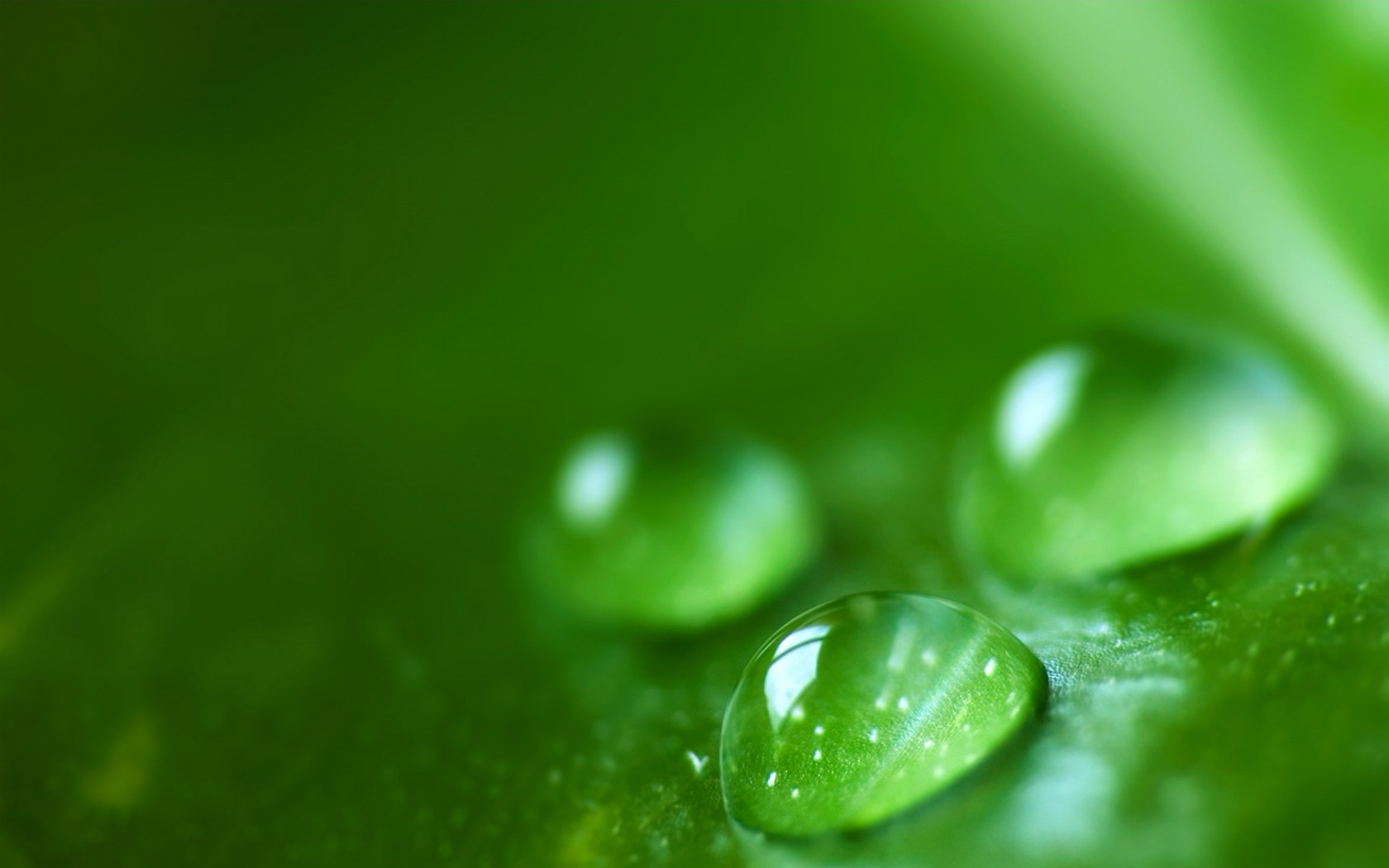 Water Drop  HD desktop images