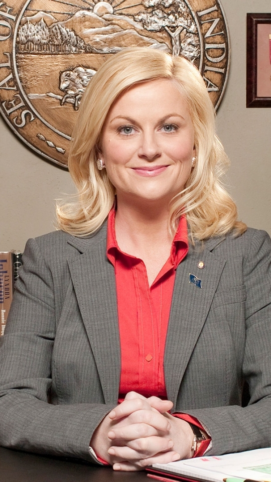 tv show, parks and recreation, leslie knope