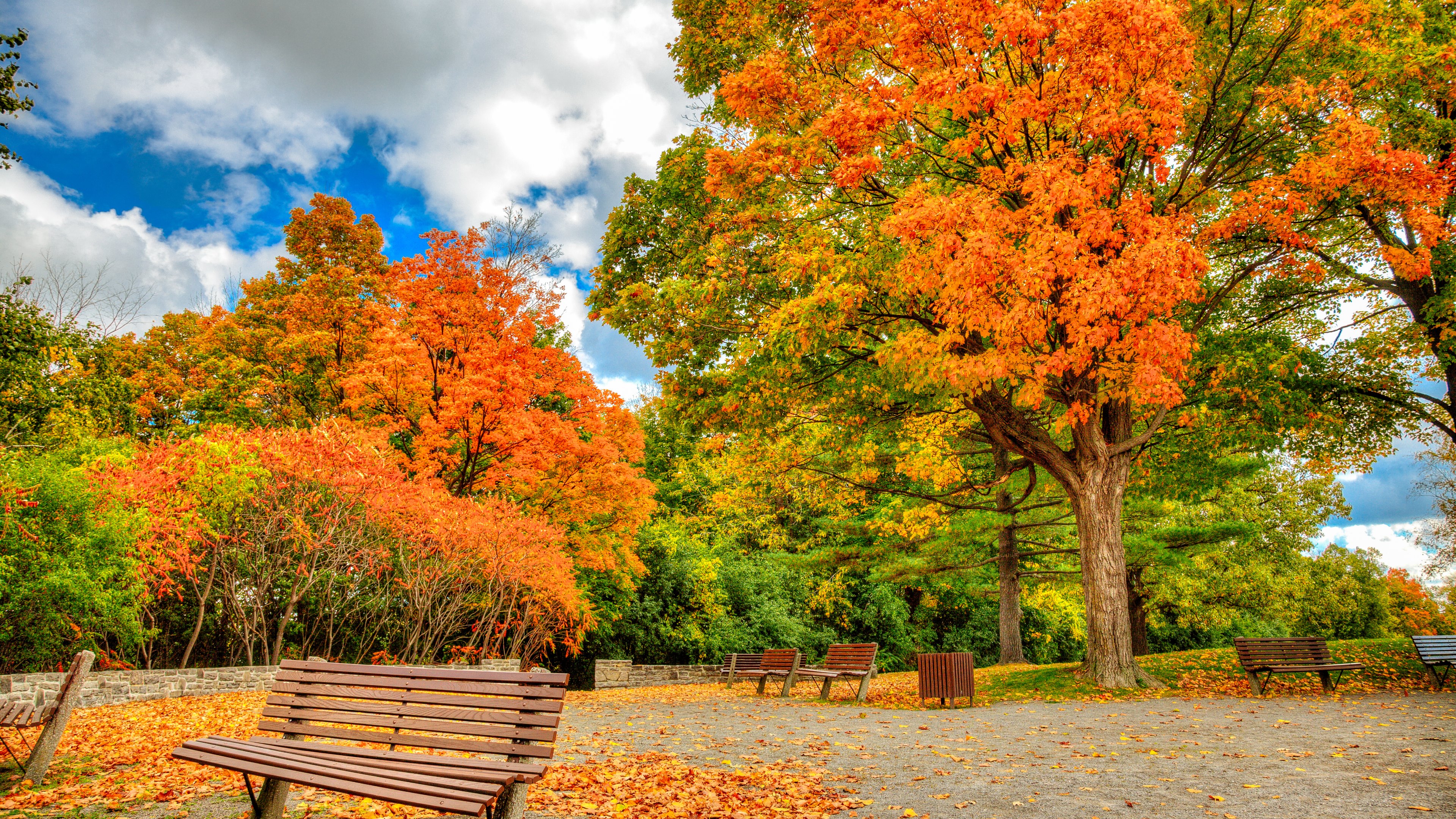Download mobile wallpaper Park, Tree, Fall, Bench, Man Made for free.