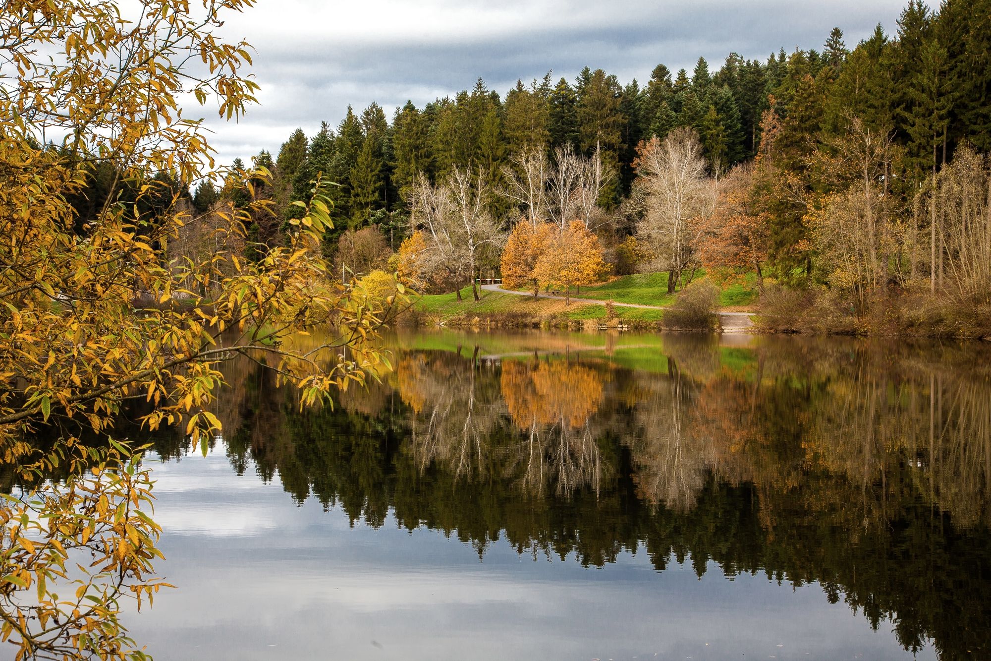 PCデスクトップに風景, 自然, 水, 木, 秋, 湖, 反射, 道, 地球画像を無料でダウンロード