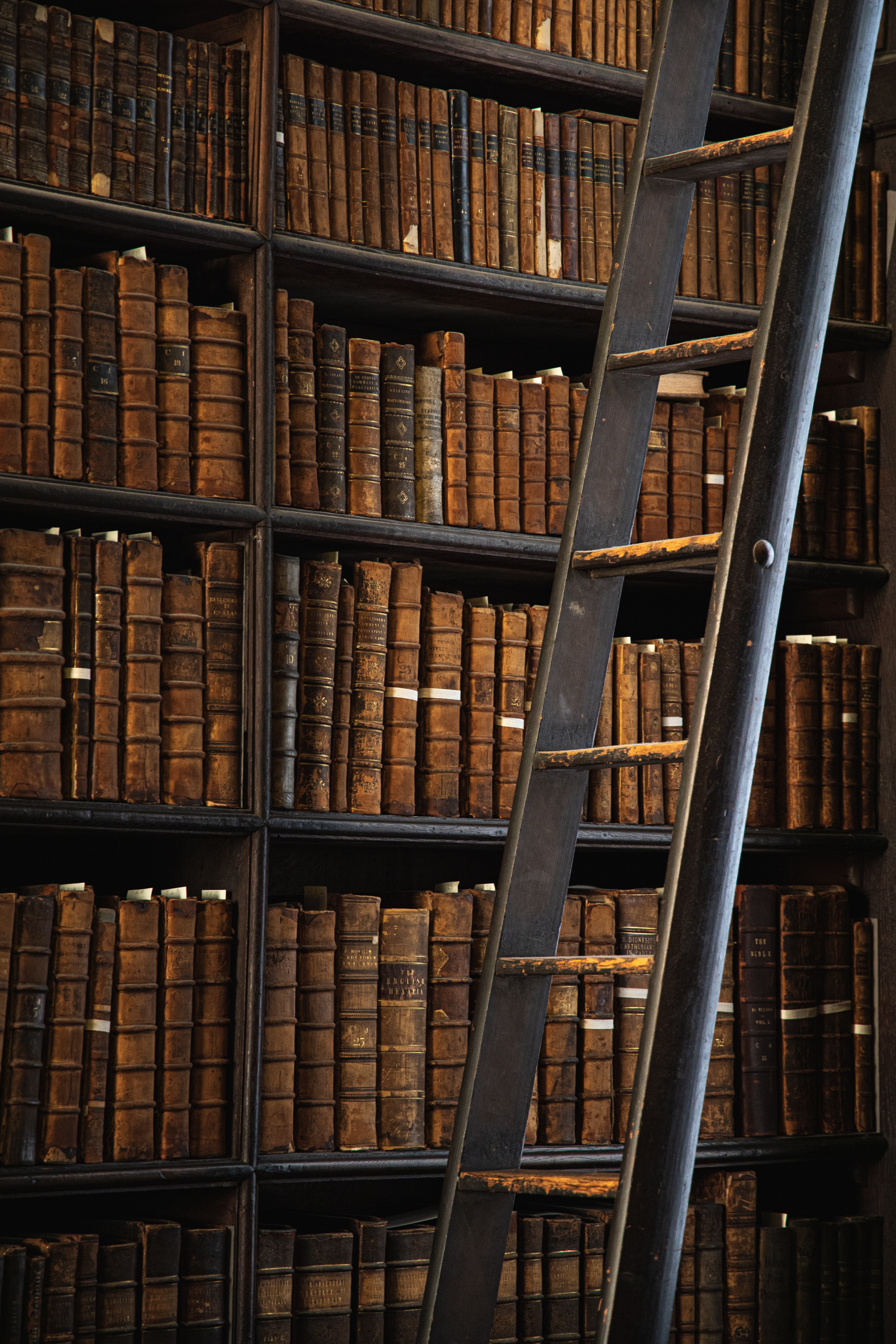 books, library, ladder, stairs, miscellanea, miscellaneous, racks