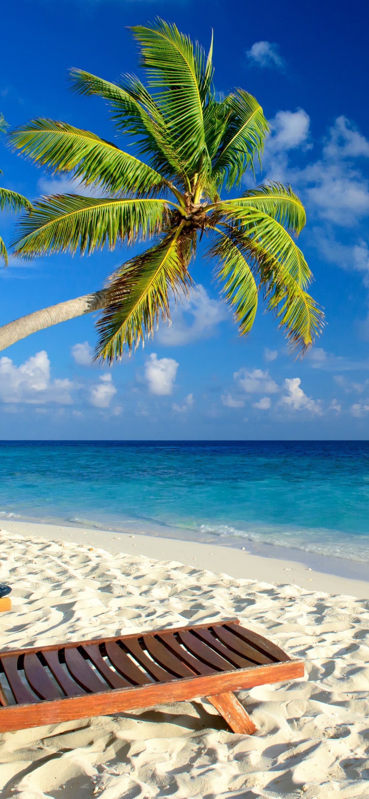Скачать картинку Пляж, Пальмы, Горизонт, Пальма, Тропики, Фотографии в телефон бесплатно.