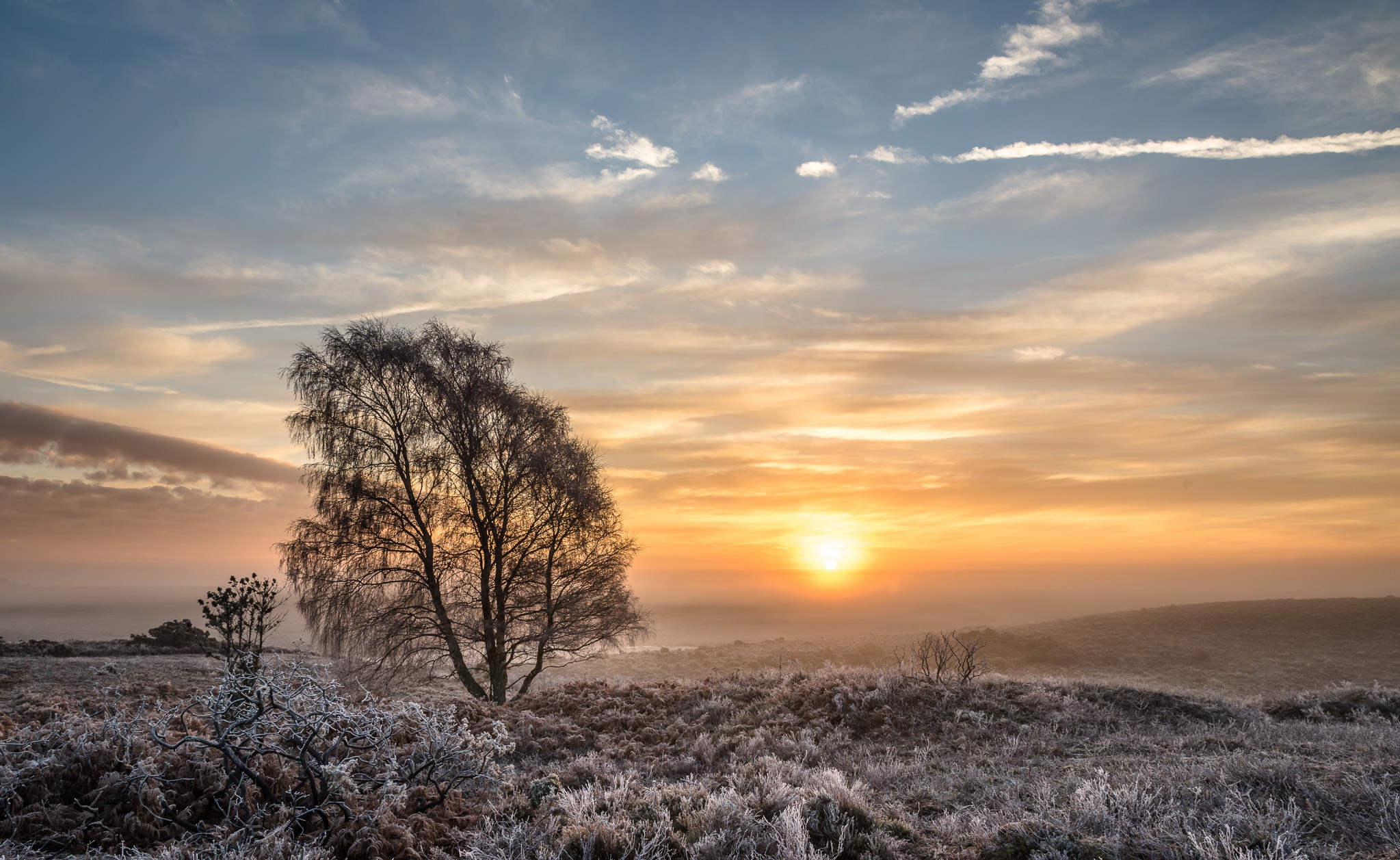 Handy-Wallpaper Landschaft, Natur, Baum, Wolke, Himmel, Sonnenuntergang, Erde/natur kostenlos herunterladen.