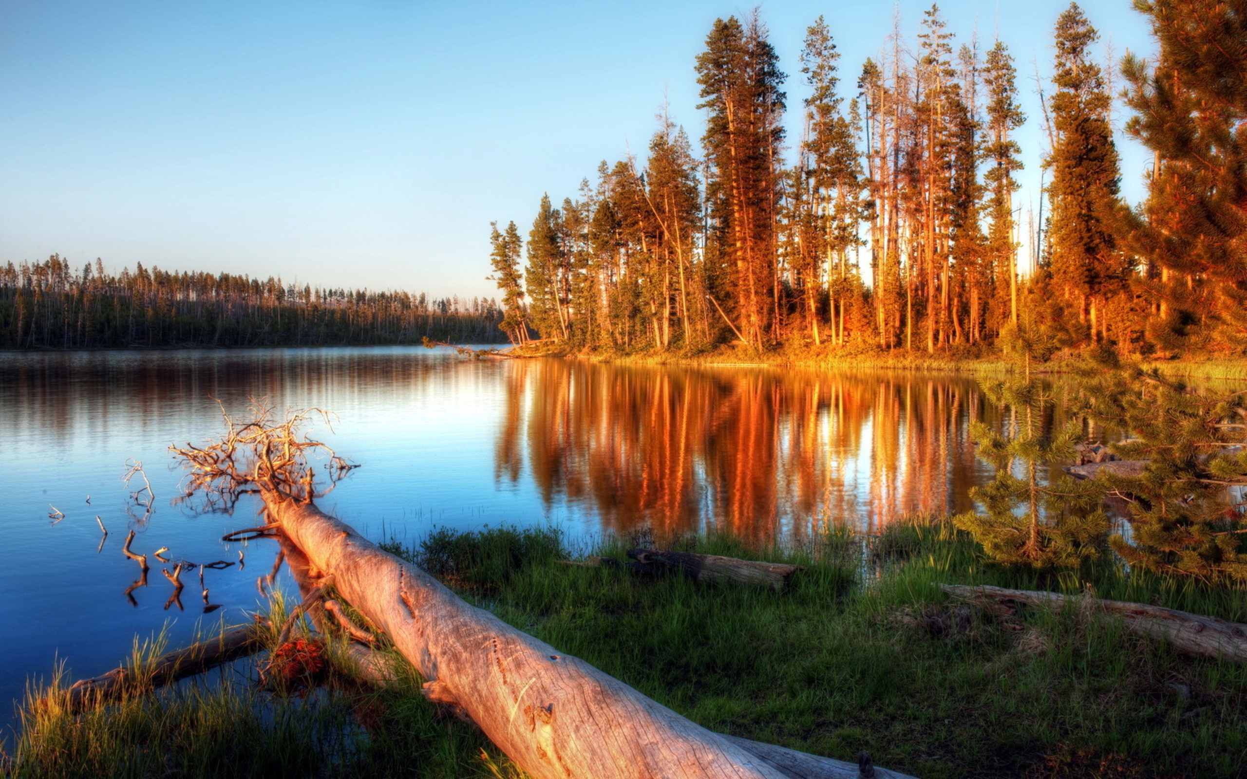 Descarga gratuita de fondo de pantalla para móvil de Tierra/naturaleza, Reflejo.