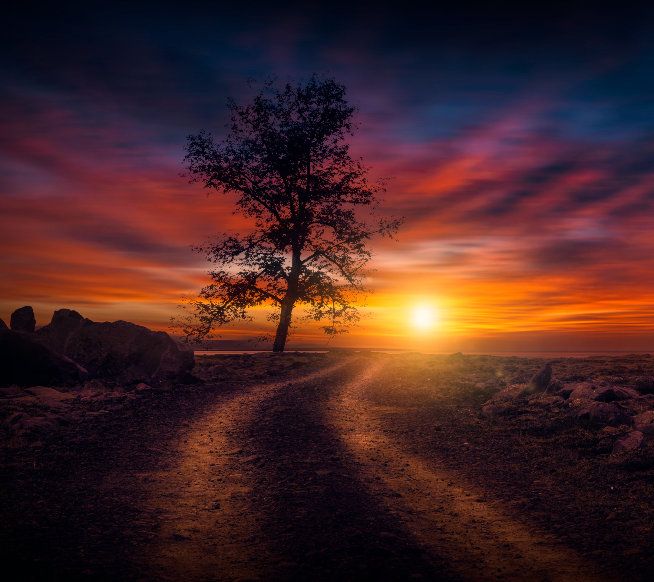 Download mobile wallpaper Nature, Sunset, Sky, Tree, Earth, Dirt Road for free.