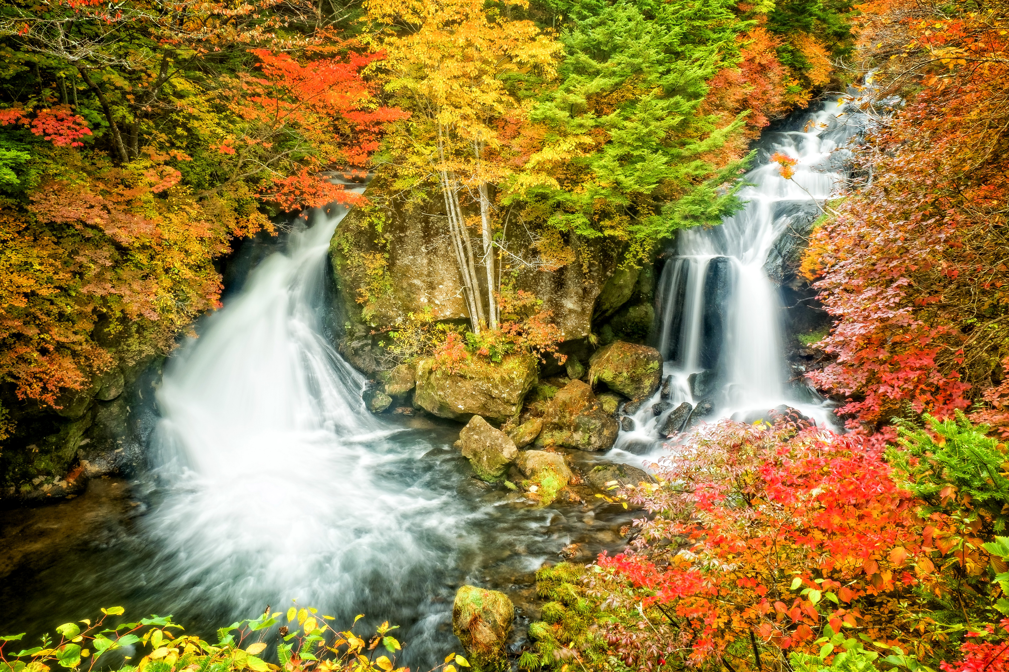 Handy-Wallpaper Herbst, Wasserfälle, Wasserfall, Wald, Erde/natur kostenlos herunterladen.