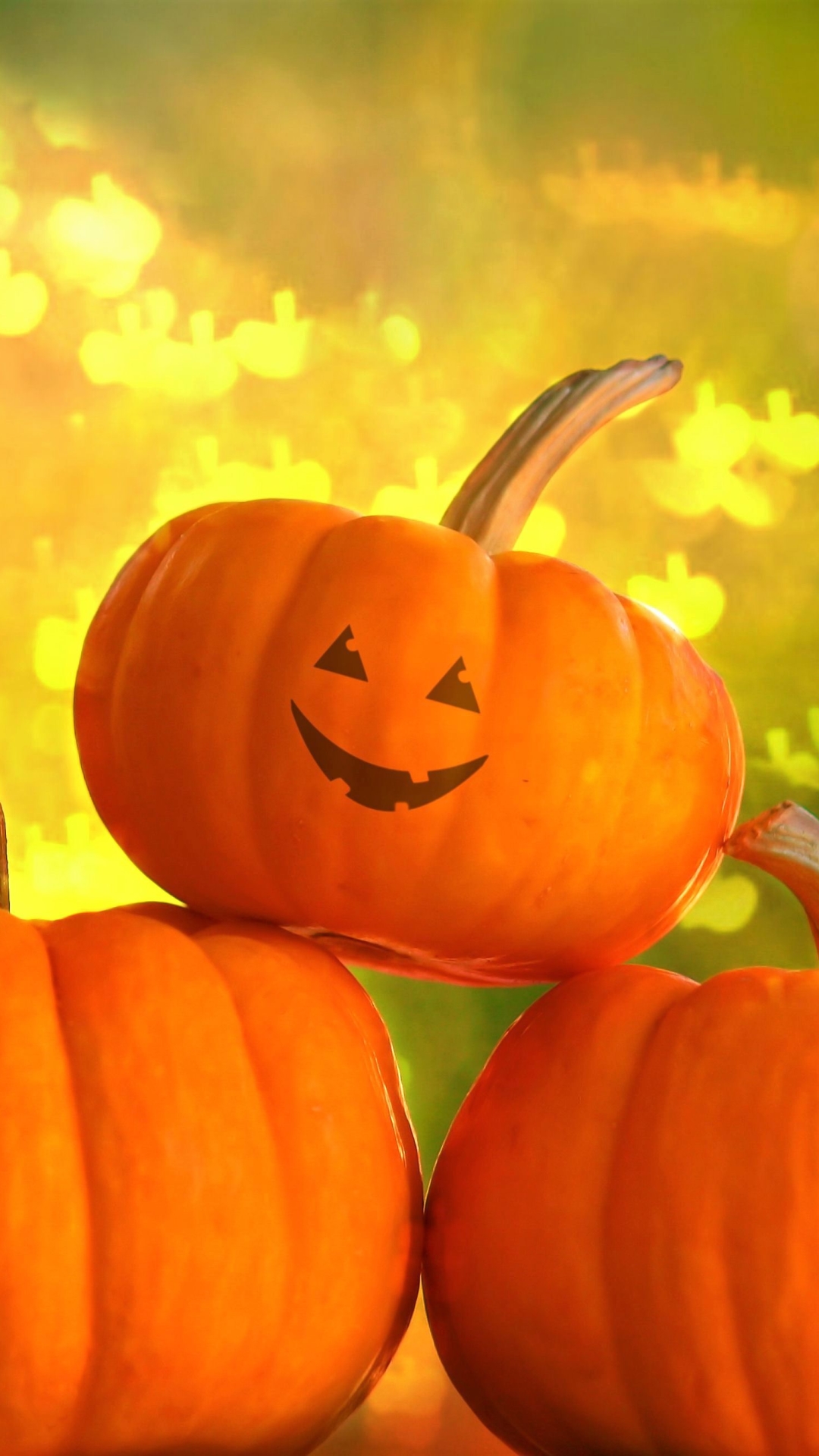 無料モバイル壁紙かぼちゃ, 顔, 笑顔, ひょうたん, ホリデー, ハロウィンをダウンロードします。
