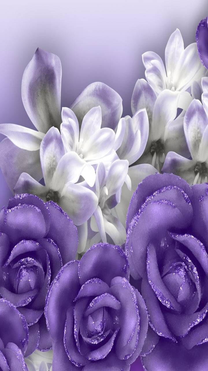 Download mobile wallpaper Flowers, Flower, Rose, Earth, White Flower, Purple Flower for free.