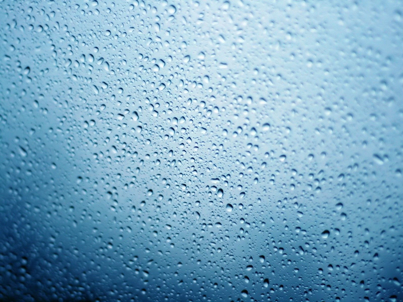 surface, drops, blue, macro, wet, humid