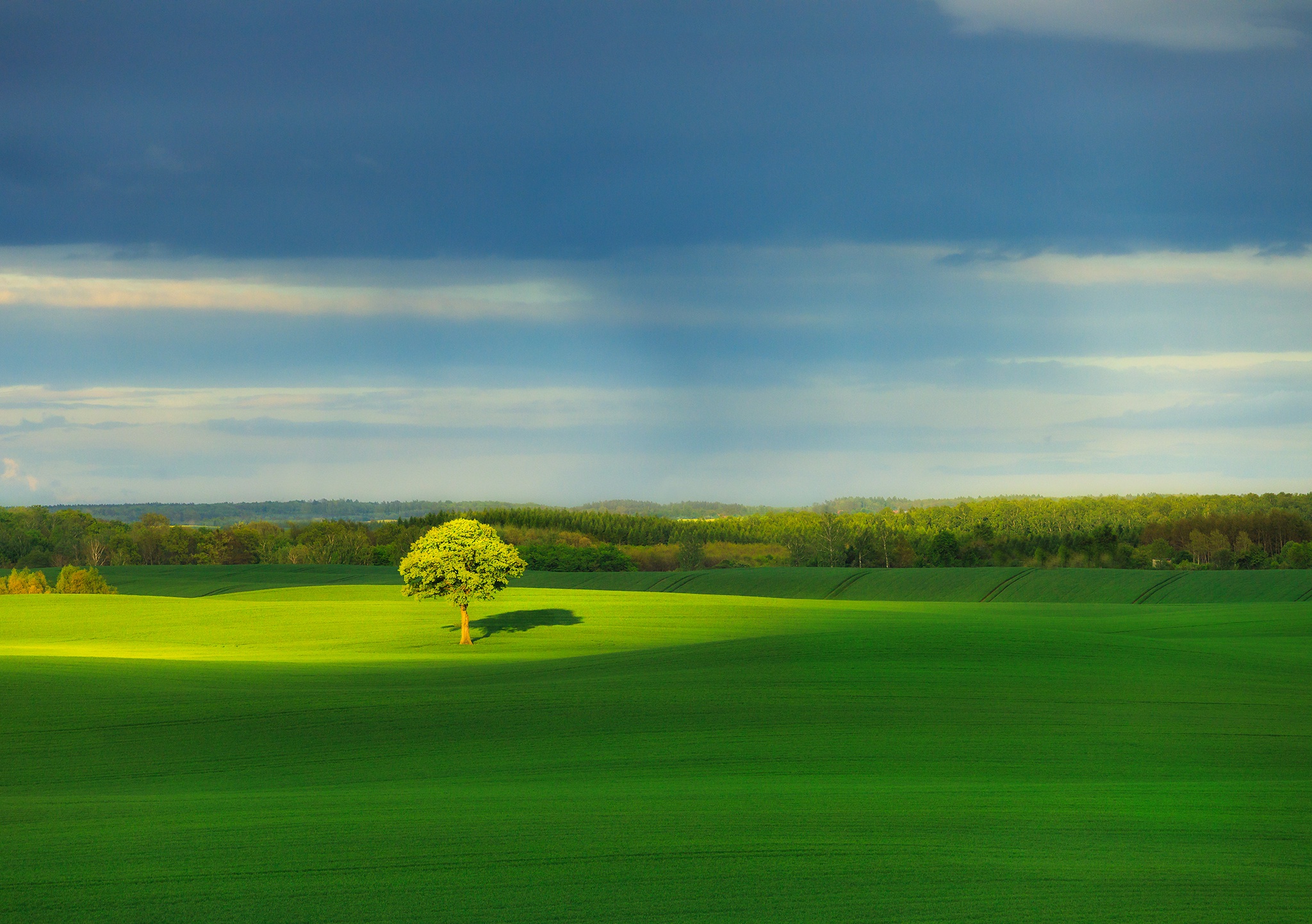 Descarga gratis la imagen Paisaje, Tierra/naturaleza, Verdor en el escritorio de tu PC