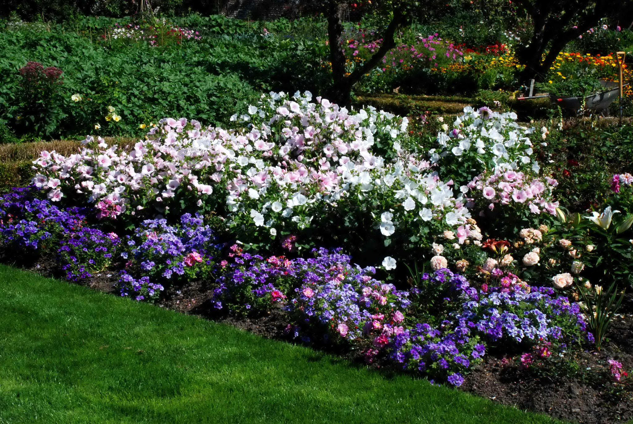 Handy-Wallpaper Blume, Garten, Frühling, Menschengemacht kostenlos herunterladen.