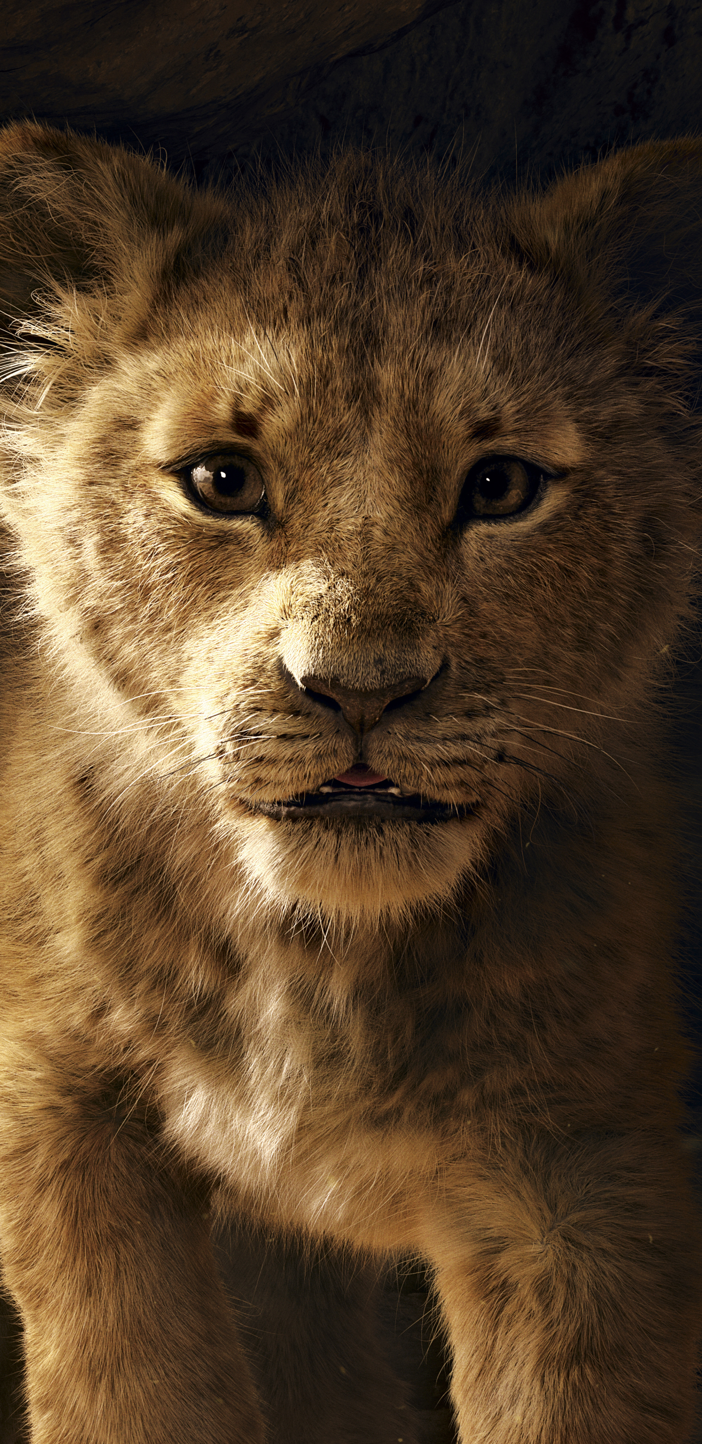 simba, movie, the lion king (2019) iphone wallpaper
