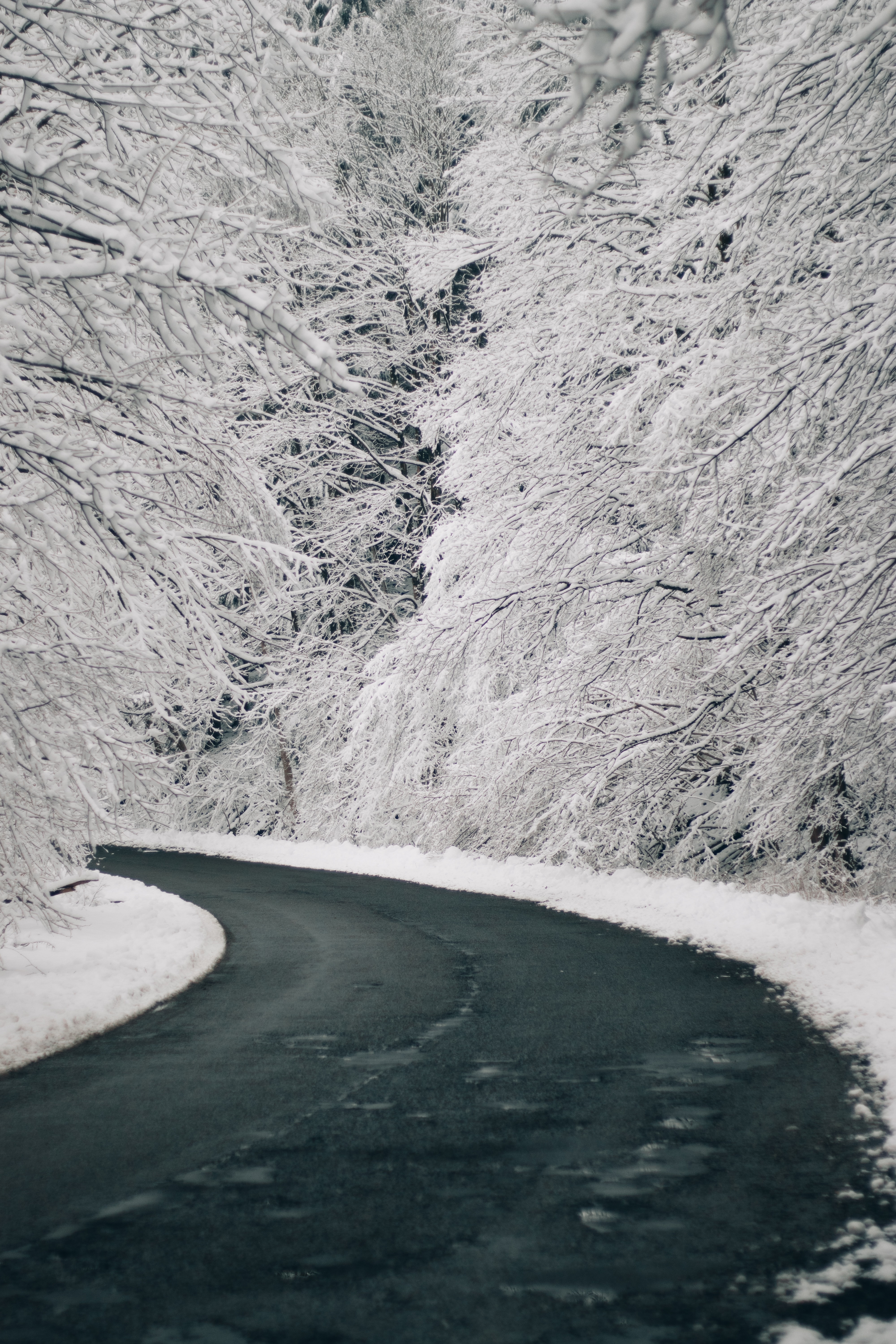 Desktop FHD winter, nature, trees, snow, road, turn
