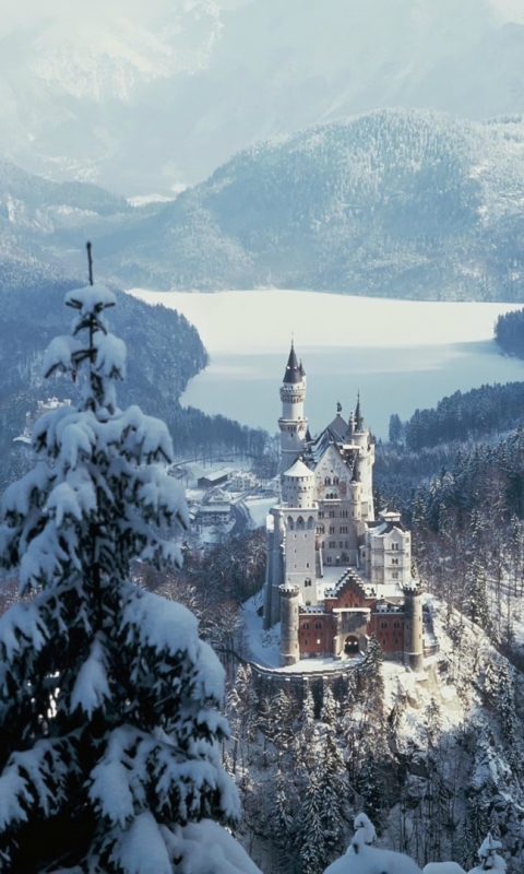 Handy-Wallpaper Winter, Schnee, Schlösser, Wald, Deutschland, Schloss Neuschwanstein, Menschengemacht kostenlos herunterladen.