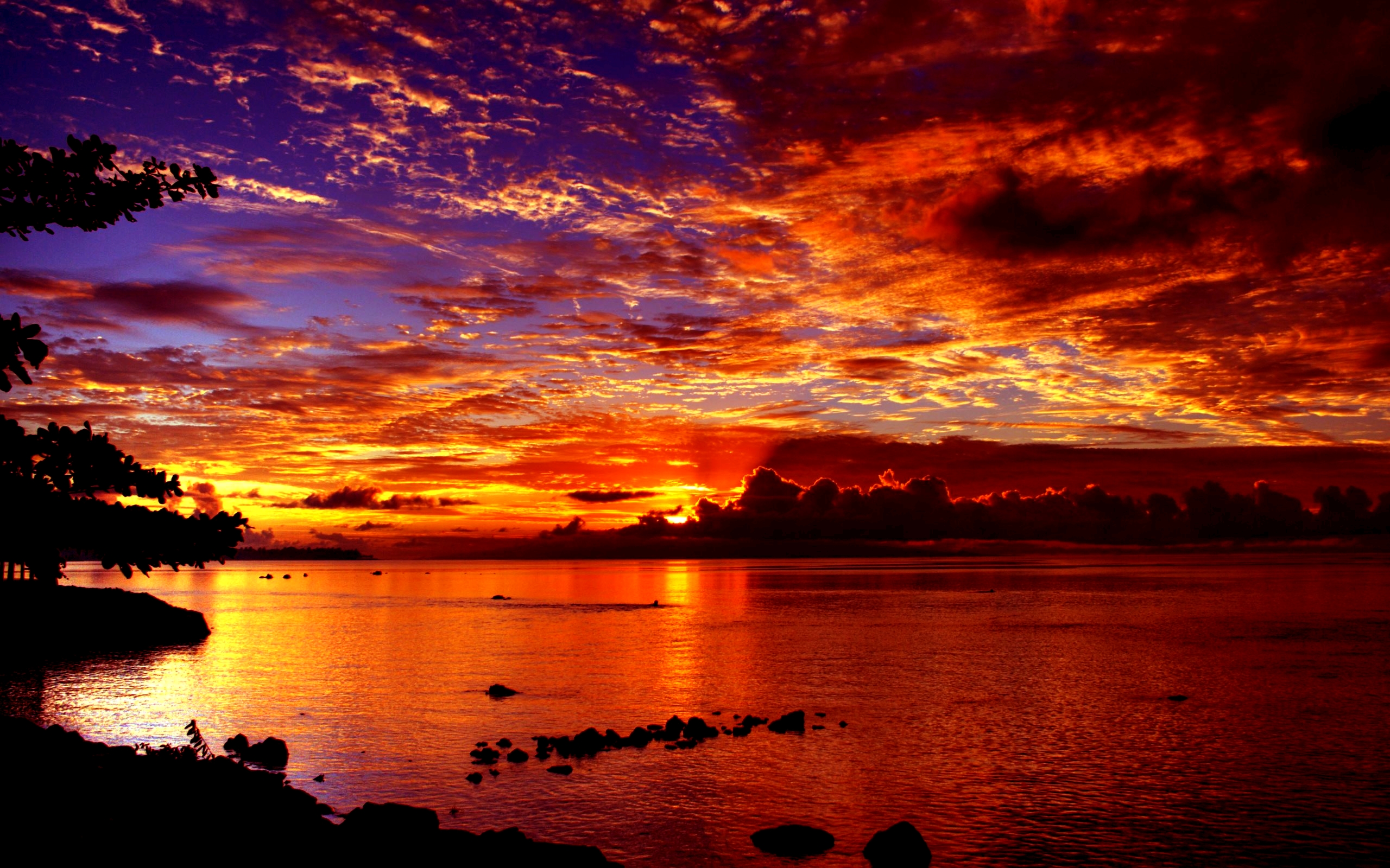 Free download wallpaper Sunset, Sky, Horizon, Lake, Tree, Earth, Orange (Color) on your PC desktop
