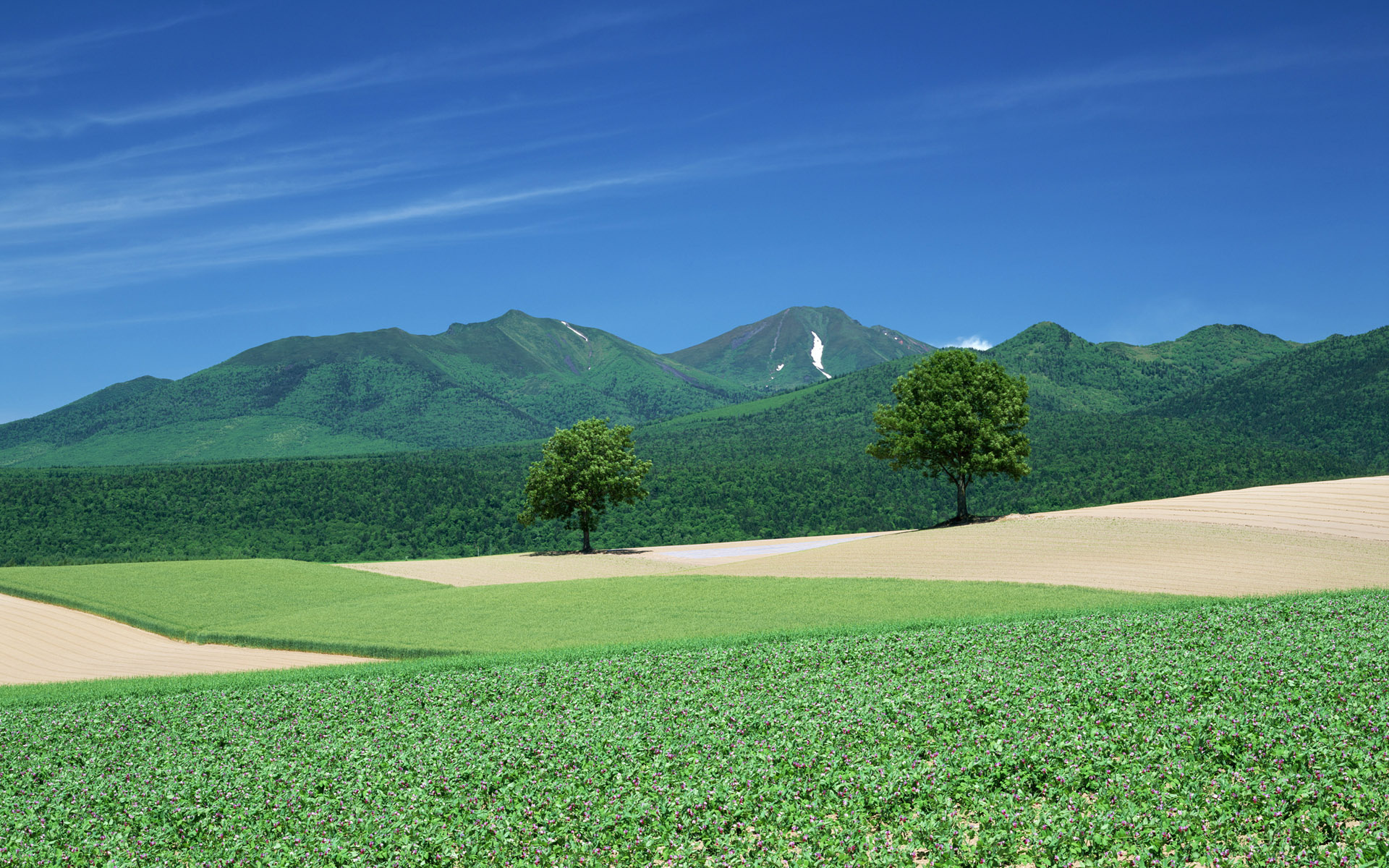 Téléchargez gratuitement l'image Paysage, Terre/nature sur le bureau de votre PC