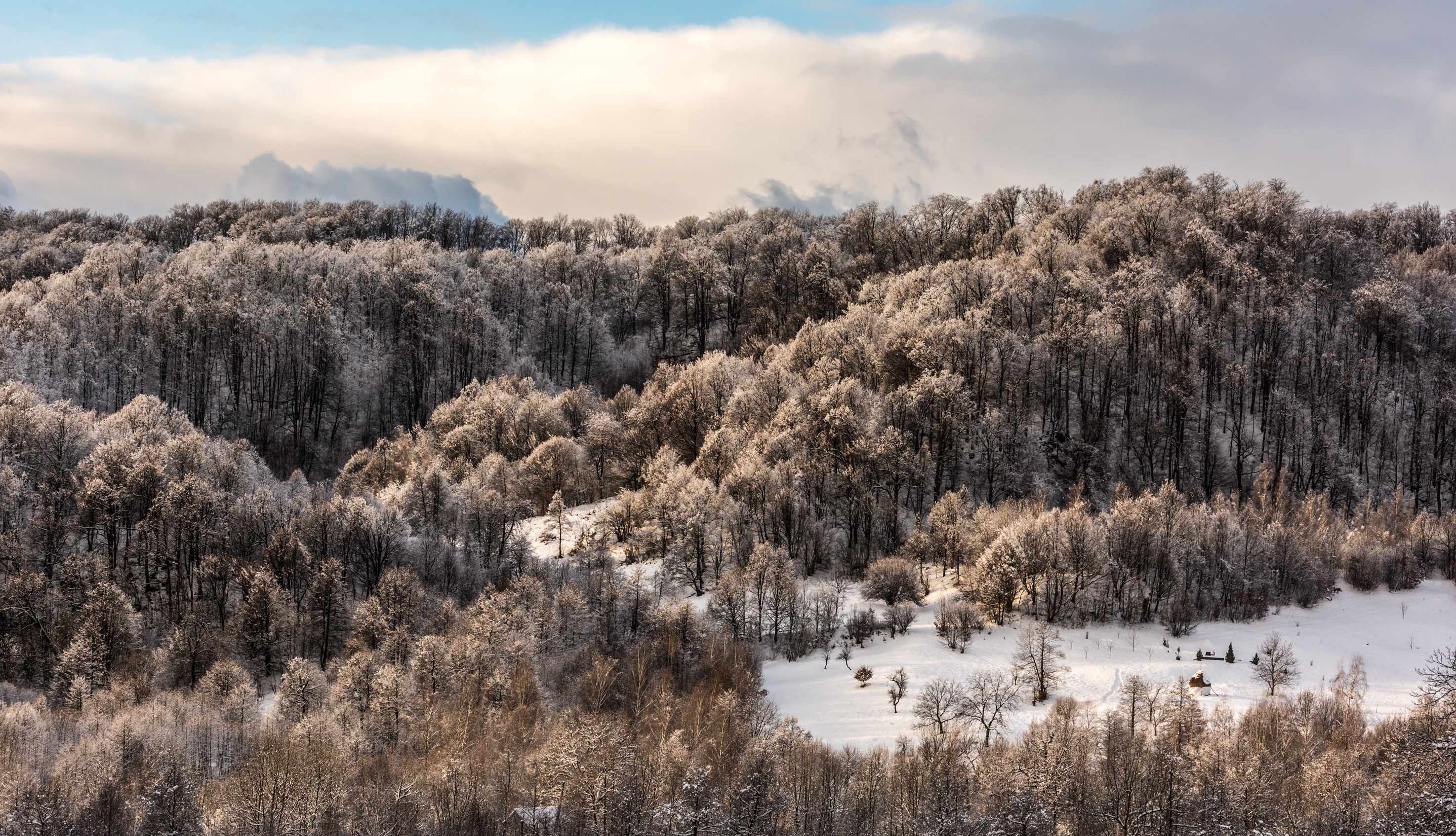 Завантажити шпалери безкоштовно Природа, Сніг, Вершина, Верх, Дерева картинка на робочий стіл ПК