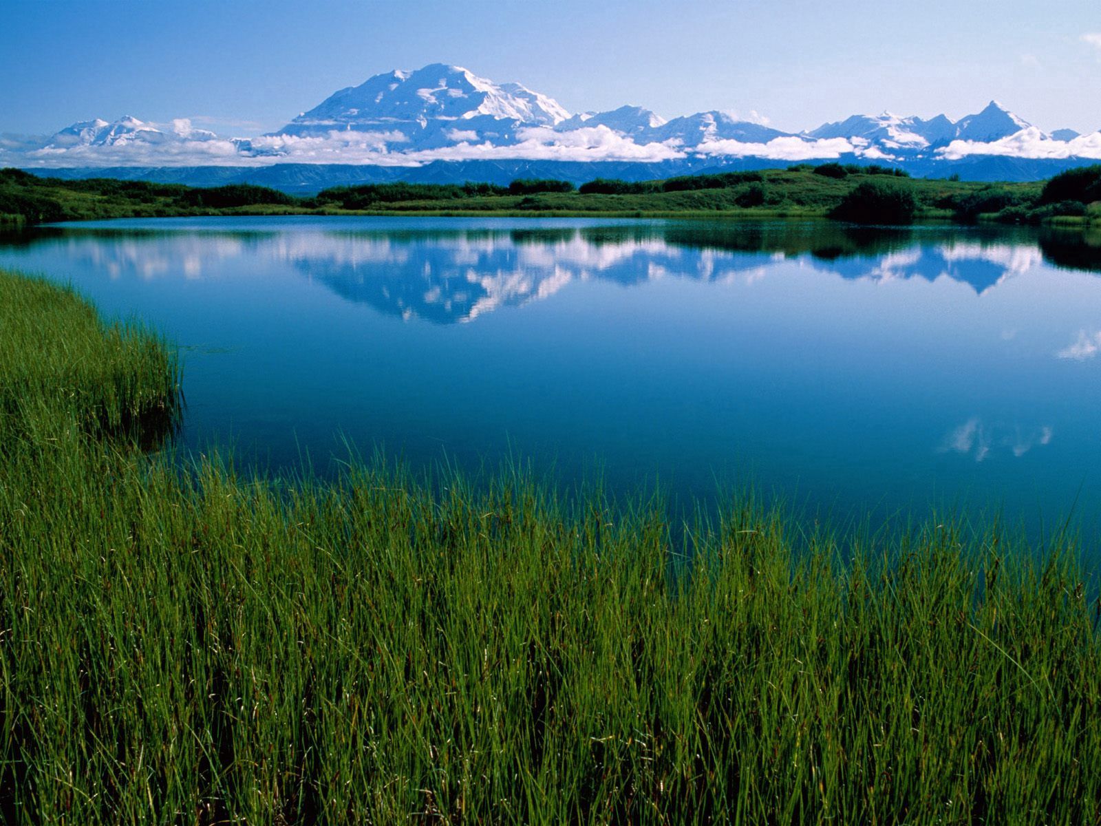 Download mobile wallpaper Lake Mckinley, Mountain, Vegetation, Alaska, Nature for free.