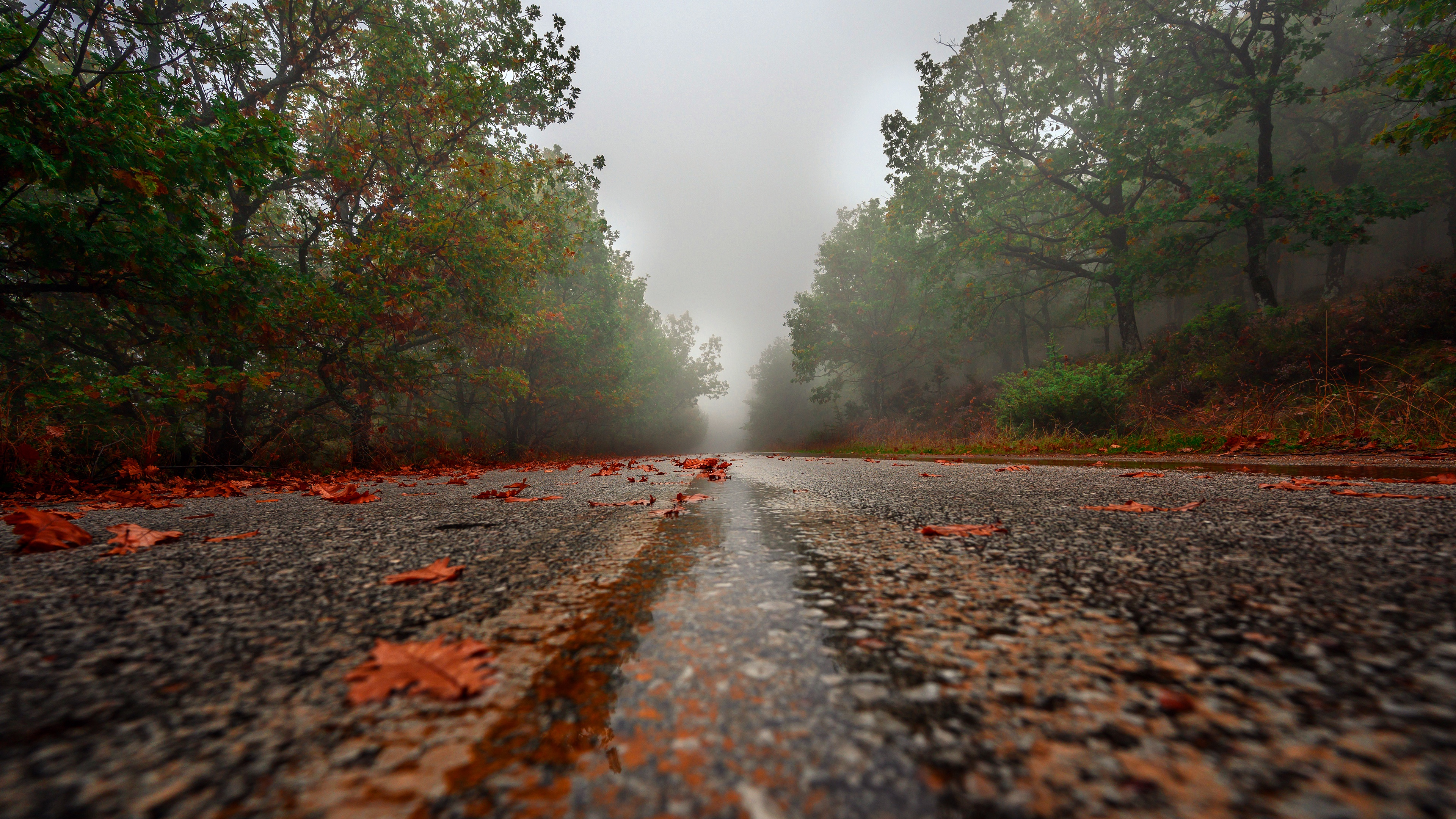 Baixe gratuitamente a imagem Outono, Chuva, Estrada, Feito Pelo Homem, Neblina na área de trabalho do seu PC