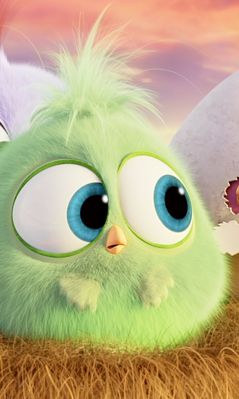 Descarga gratuita de fondo de pantalla para móvil de Angry Birds, Películas, Angry Birds: La Película.