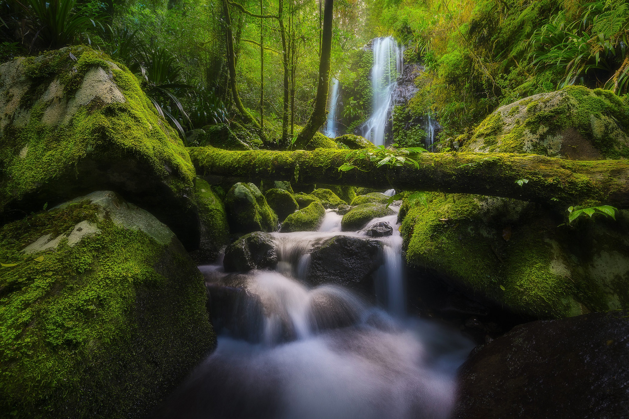 Descarga gratis la imagen Naturaleza, Cascada, Musgo, Chorro, Tierra/naturaleza en el escritorio de tu PC