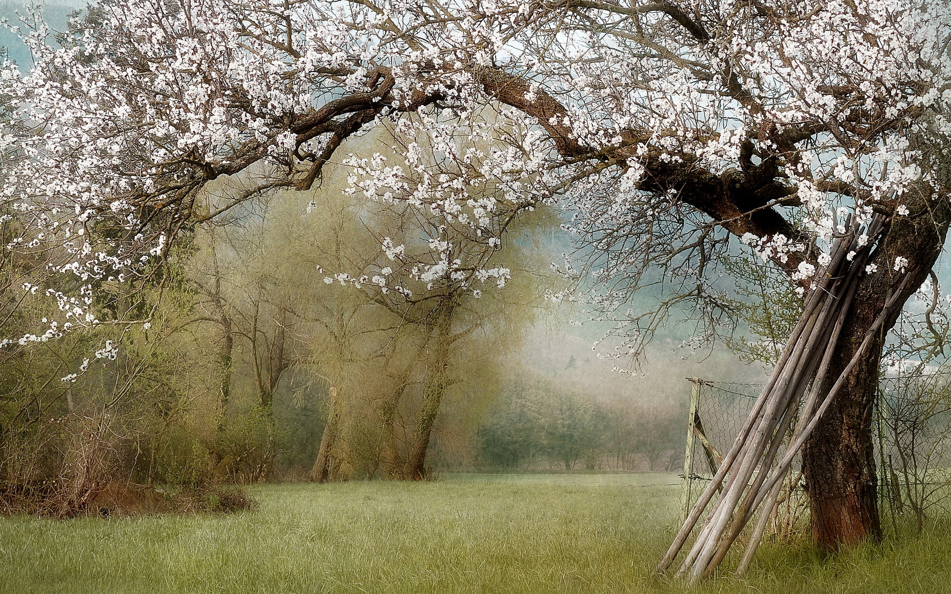 Téléchargez gratuitement l'image Paysage, Artistique sur le bureau de votre PC