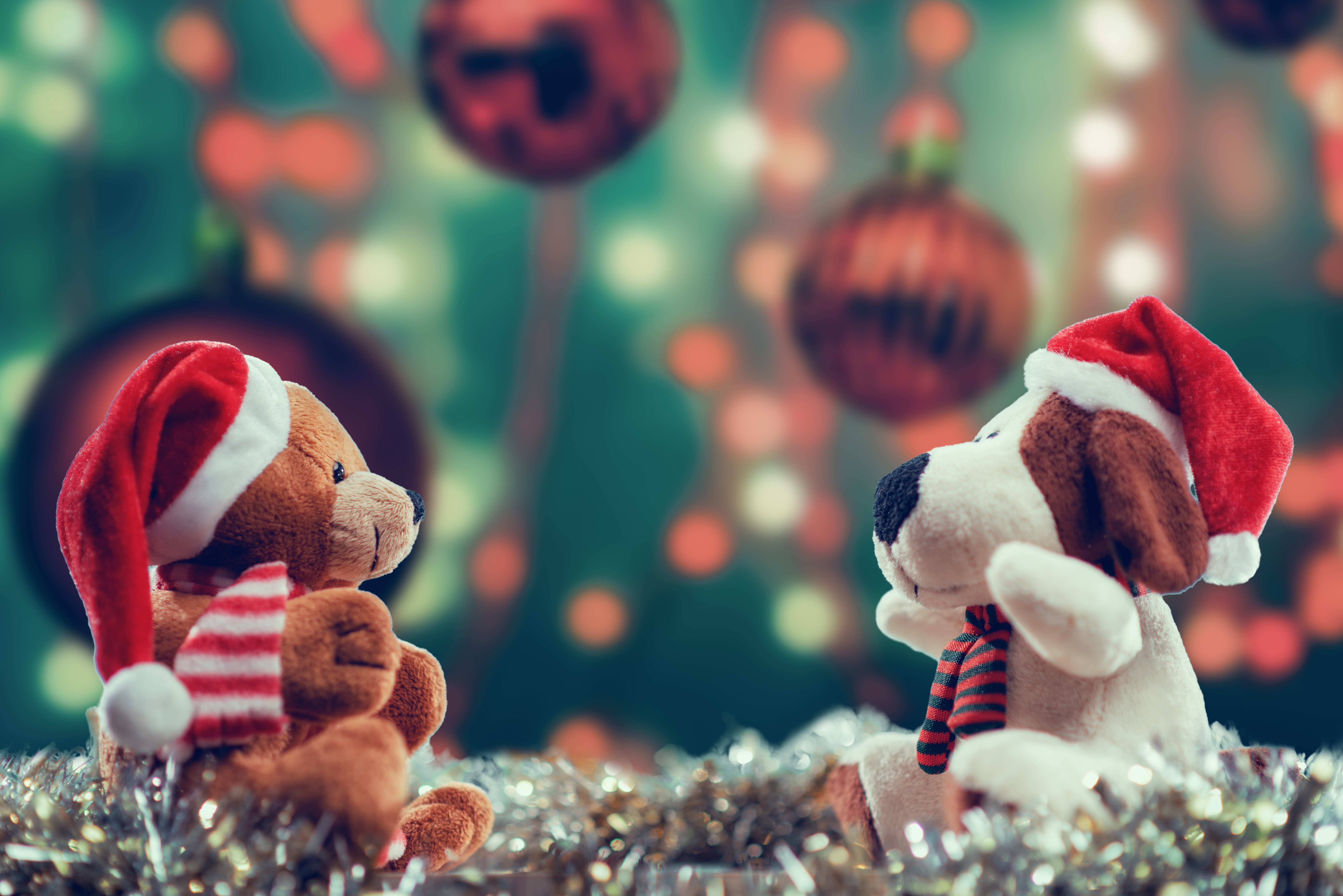Download mobile wallpaper Christmas, Holiday, Stuffed Animal for free.