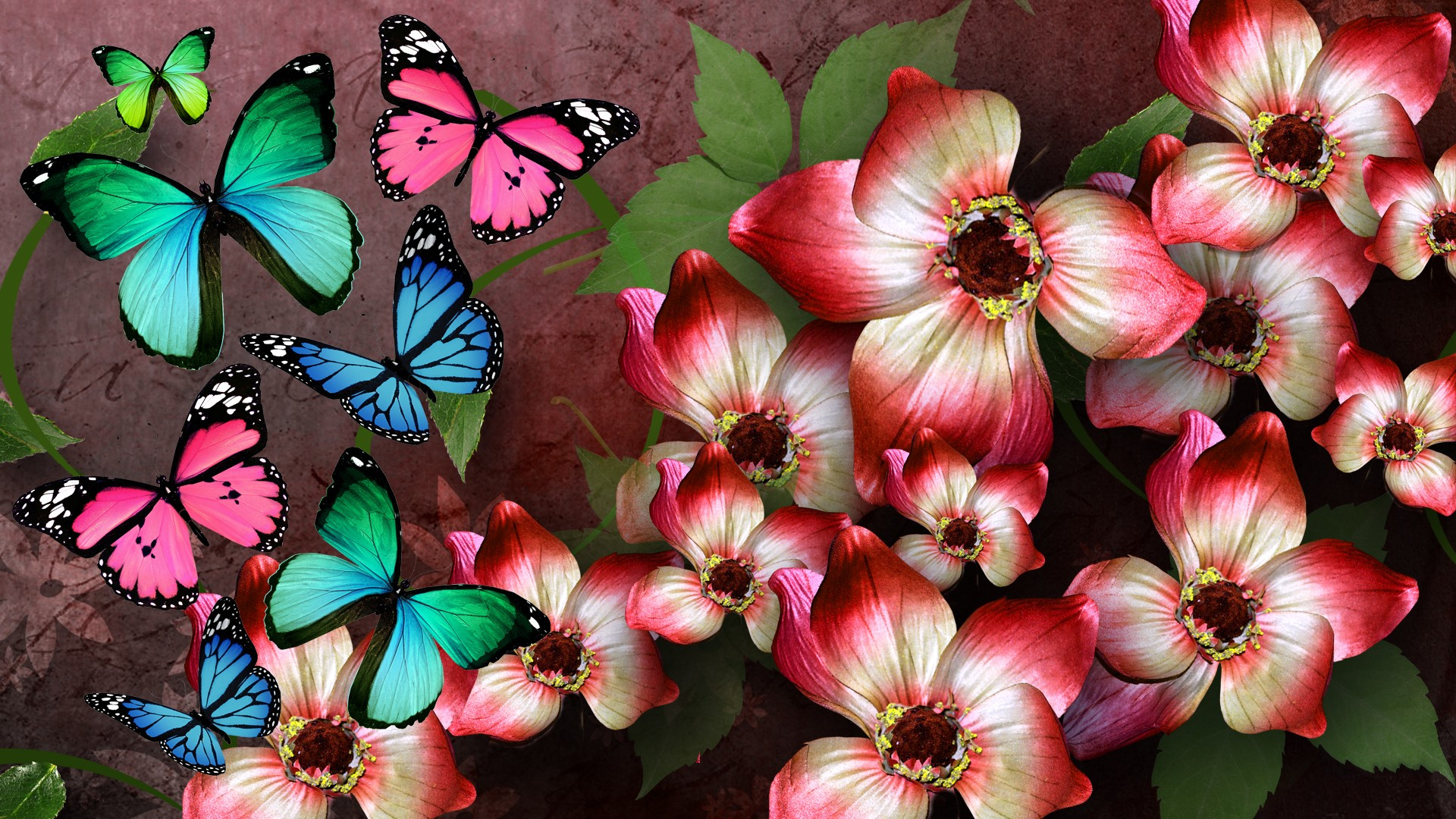 Download mobile wallpaper Flower, Colors, Butterfly, Colorful, Artistic for free.