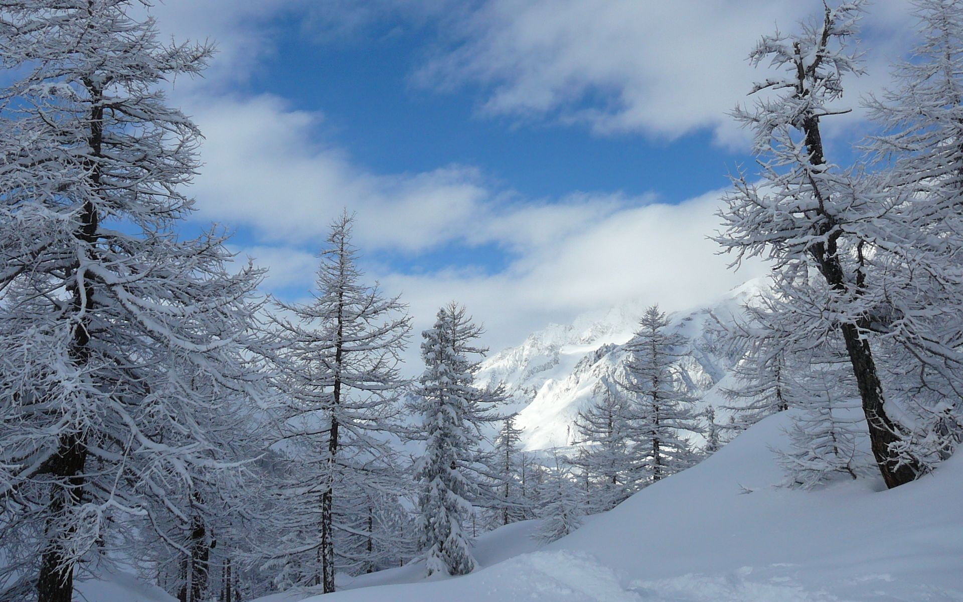 Free download wallpaper Winter, Snow, Mountain, Tree, Earth on your PC desktop